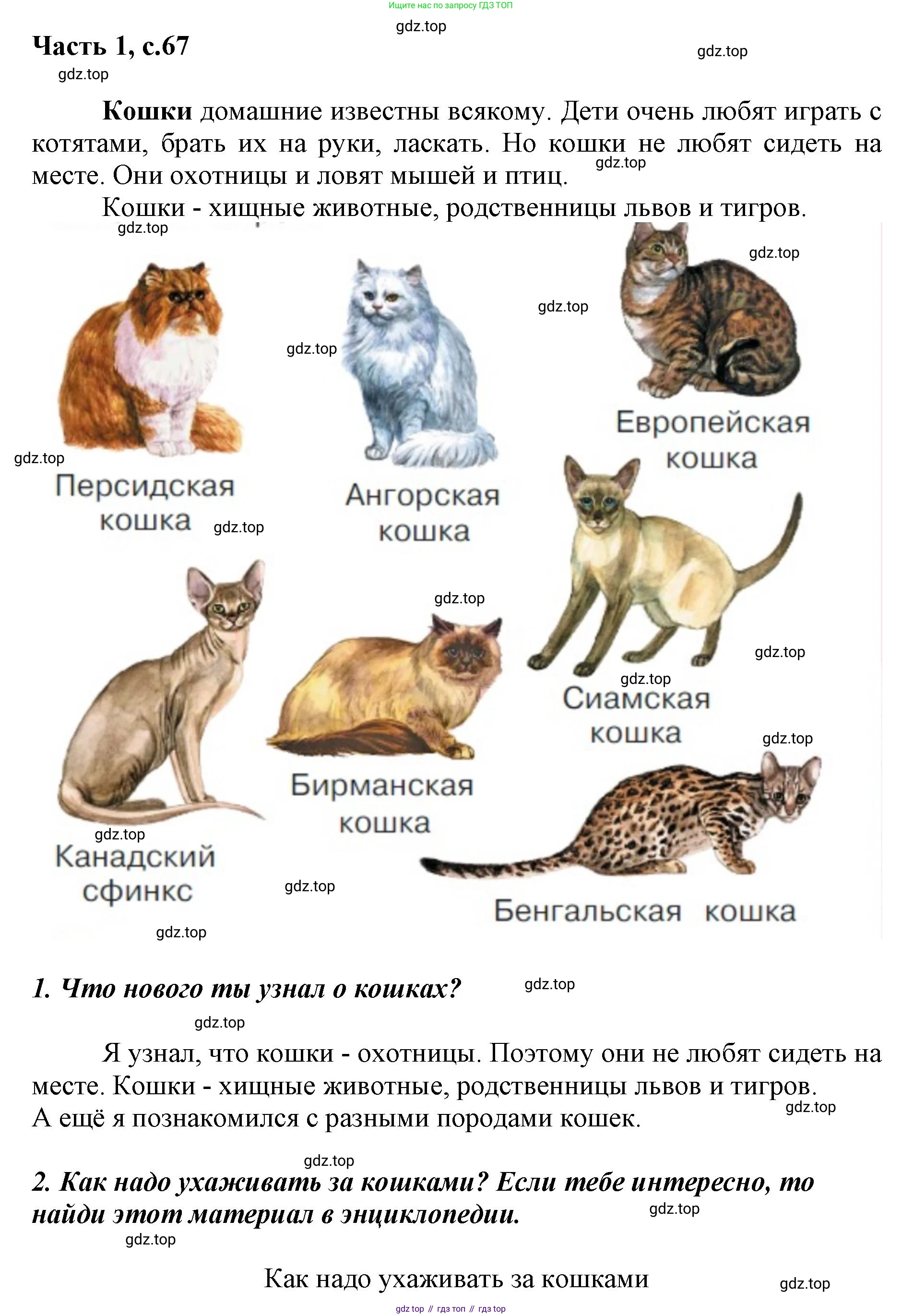 ГДЗ Литературное чтение, 1 класс Учебник, авторы: Климанова Людмила Федоровна, Горецкий Всеслав Гаврилович, Голованова Мария Владимировна, Виноградская Людмила Андреевна, Бойкина Марина Викторовна, издательство Просвещение, Москва, 2023, белого цвета, Часть 2, страница 67, Решение