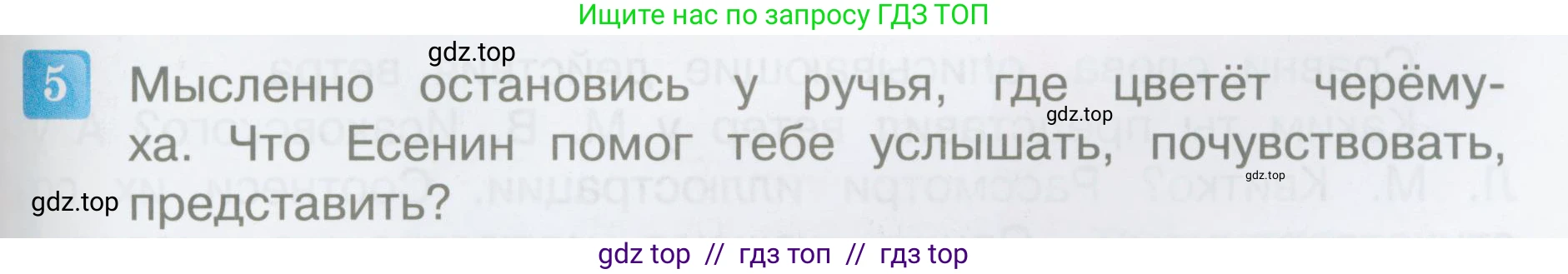 Литературное чтение, 3 класс Учебник, авторы: Климанова Людмила Федоровна, Горецкий Всеслав Гаврилович, Голованова Мария Владимировна, Виноградская Людмила Андреевна, Бойкина Марина Викторовна, издательство Просвещение, Москва, 2023, белого цвета, Часть 2, страница 51, номер 5, Условие