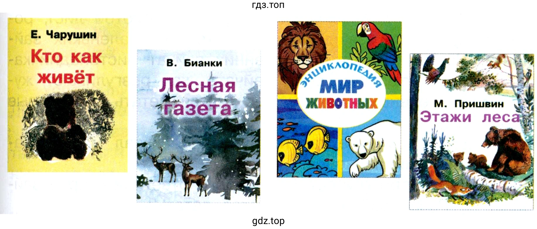 Обложки книг: Е. Чарушин. Кто как живёт; В. Бианки. Лесная газета; Энциклопедия. МИР ЖИВОТНЫХ; М. Пришвин. Этажи леса.