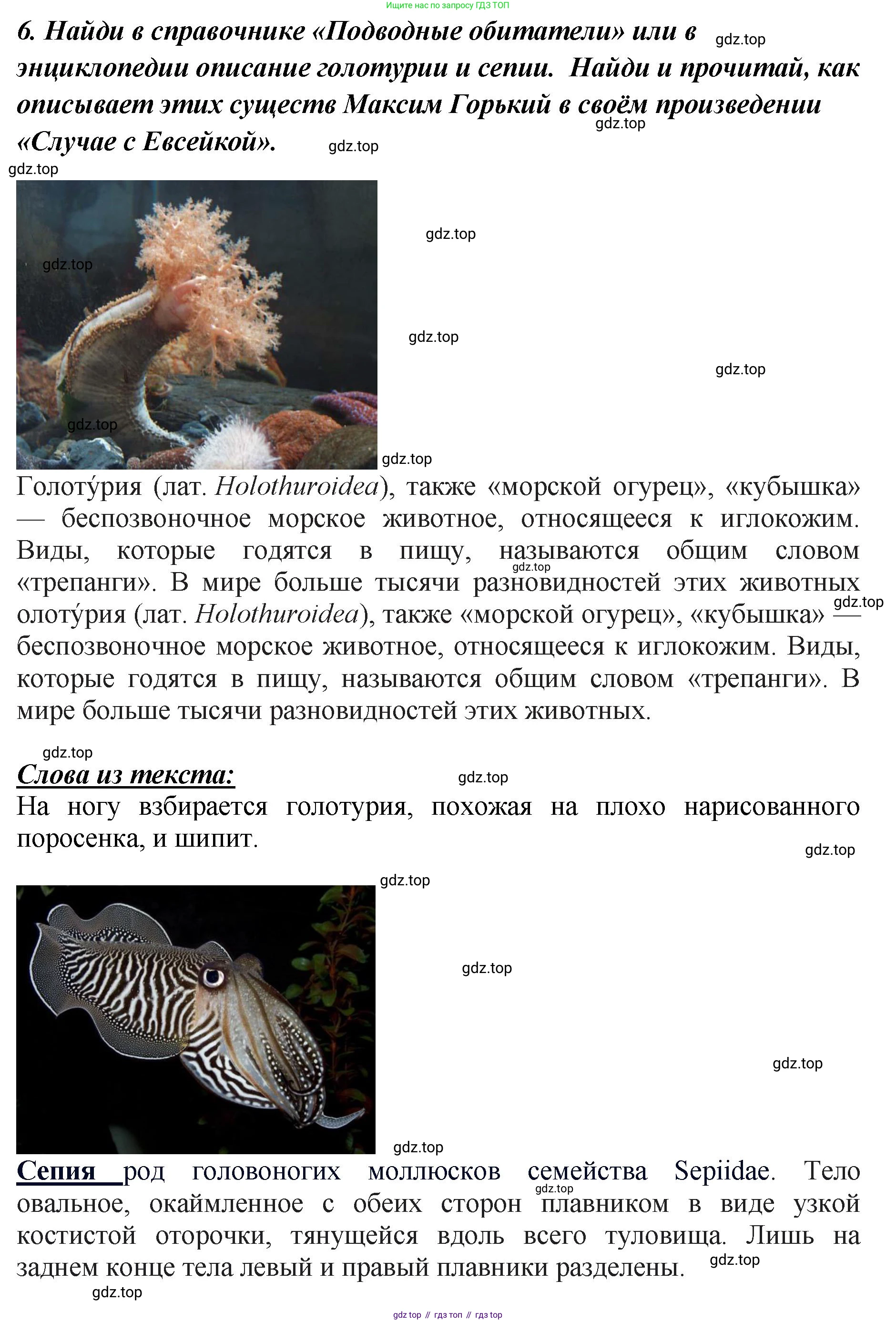 ГДЗ Литературное чтение, 3 класс Учебник, авторы: Климанова Людмила Федоровна, Горецкий Всеслав Гаврилович, Голованова Мария Владимировна, Виноградская Людмила Андреевна, Бойкина Марина Викторовна, издательство Просвещение, Москва, 2023, белого цвета, Часть 2, страница 12, Решение (продолжение 6)