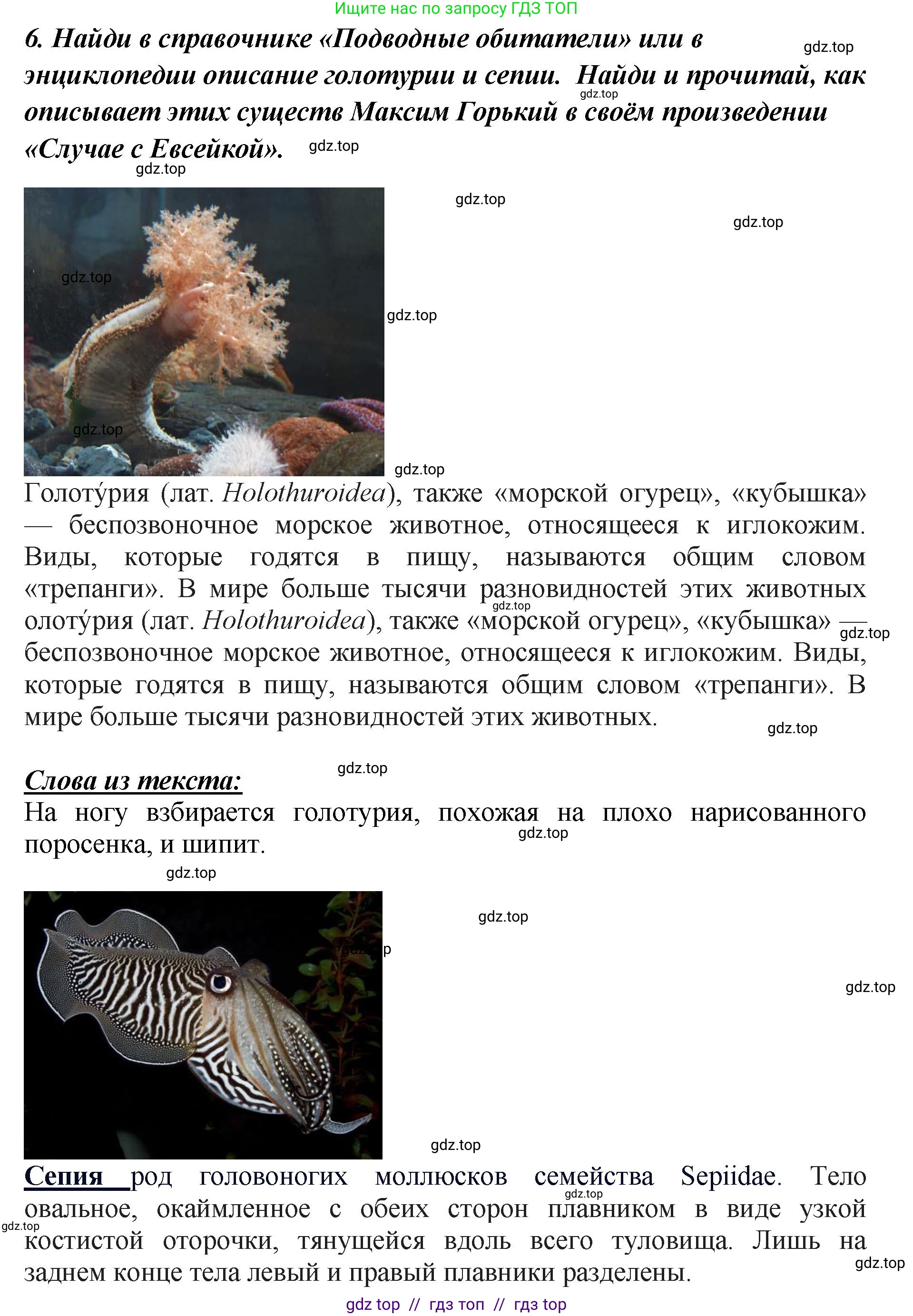 Литературное чтение, 3 класс Учебник, авторы: Климанова Людмила Федоровна, Горецкий Всеслав Гаврилович, Голованова Мария Владимировна, Виноградская Людмила Андреевна, Бойкина Марина Викторовна, издательство Просвещение, Москва, 2023, белого цвета, Часть 2, страница 12, номер 6, Решение