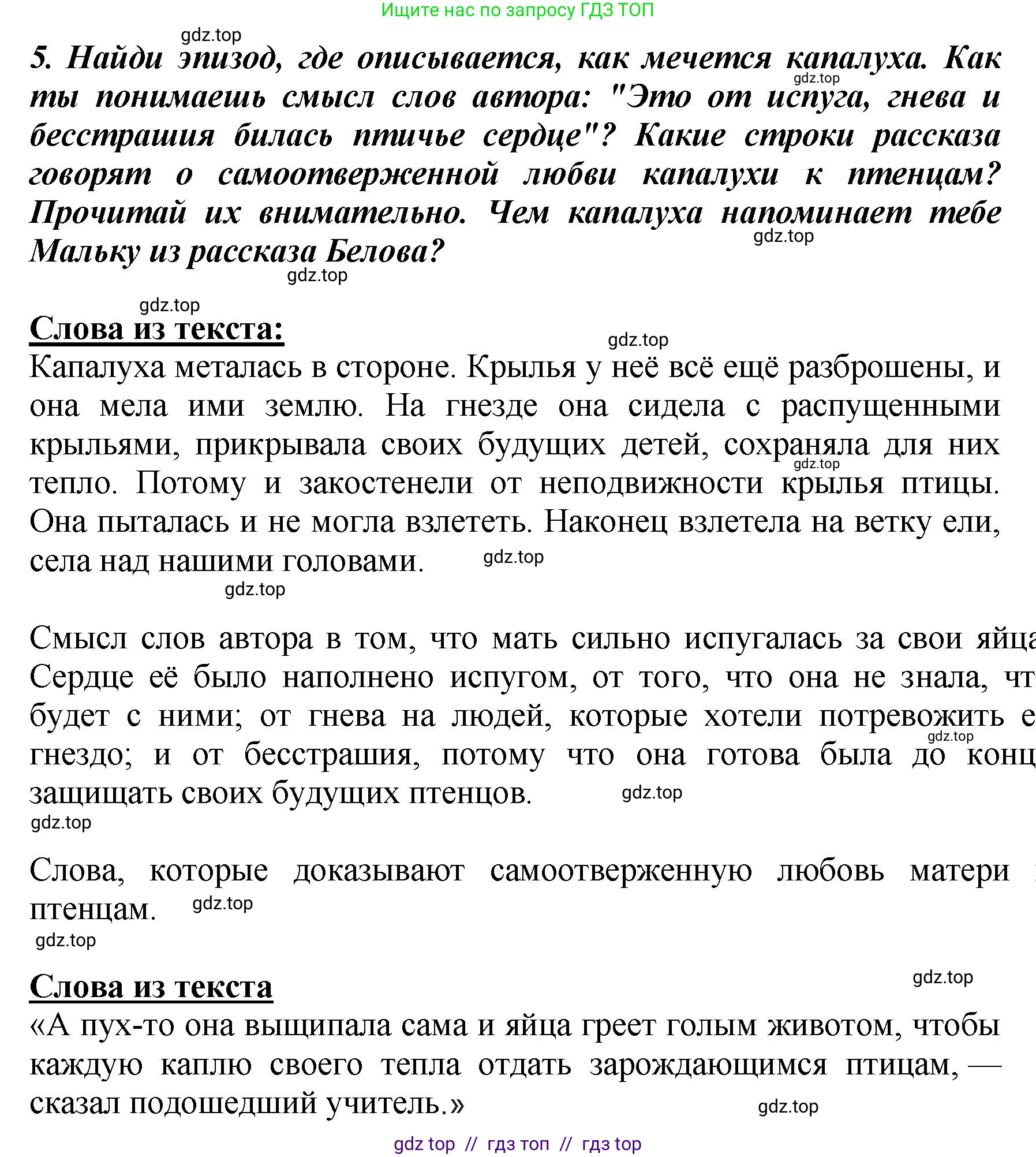 Литературное чтение, 3 класс Учебник, авторы: Климанова Людмила Федоровна, Горецкий Всеслав Гаврилович, Голованова Мария Владимировна, Виноградская Людмила Андреевна, Бойкина Марина Викторовна, издательство Просвещение, Москва, 2023, белого цвета, Часть 2, страница 72, номер 5, Решение