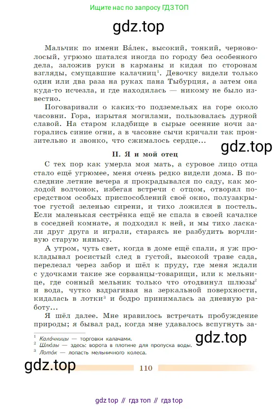 Литература, 5 класс Учебник, авторы: Коровина Вера Яновна, Журавлев Виктор Петрович, Коровин Валентин Иванович, издательство Просвещение, Москва, 2023, бирюзового цвета, Часть 1, страница 110
