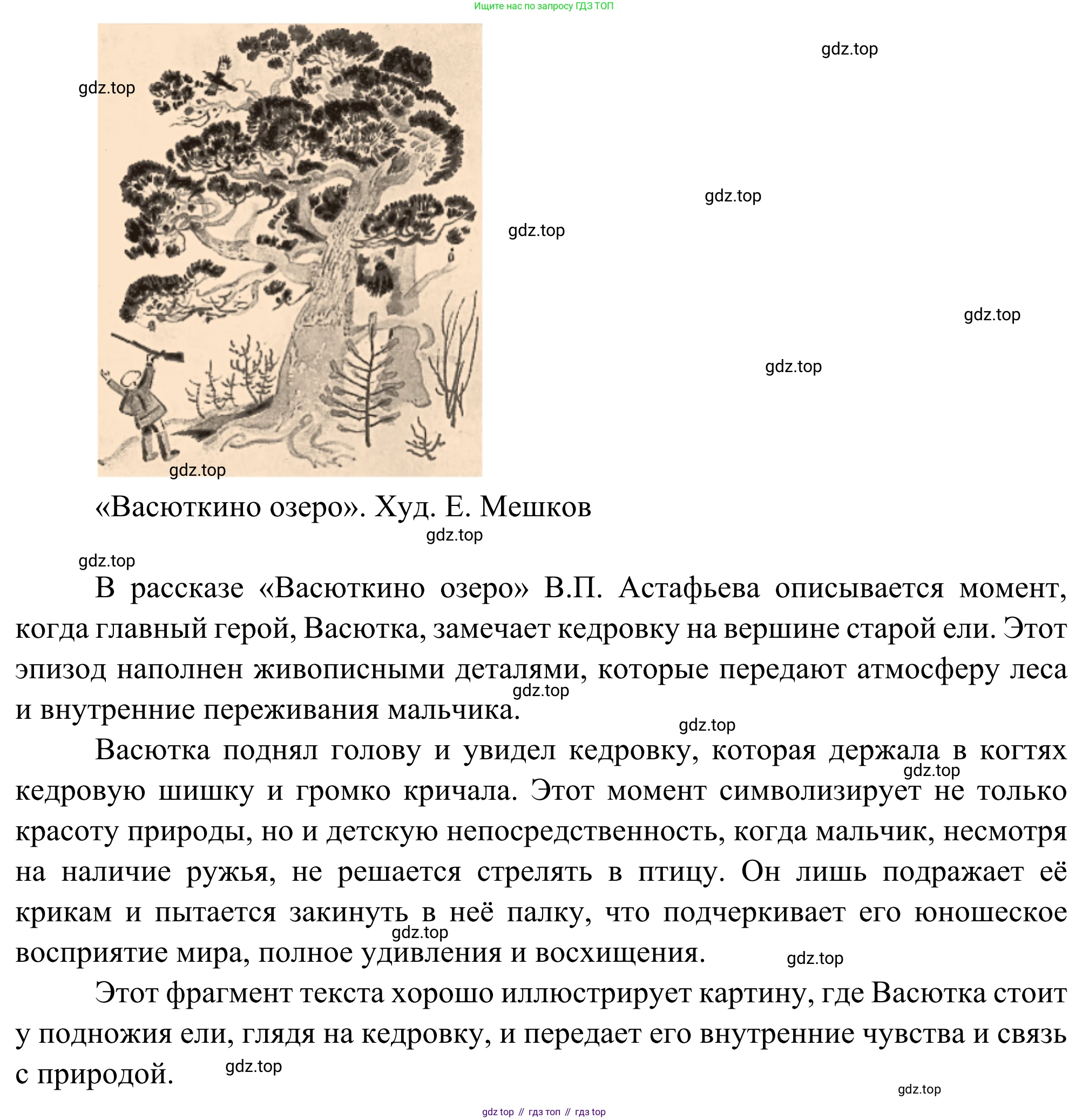 Литература, 5 класс Учебник, авторы: Коровина Вера Яновна, Журавлев Виктор Петрович, Коровин Валентин Иванович, издательство Просвещение, Москва, 2023, бирюзового цвета, Часть 2, страница 73, Решение (продолжение 2)