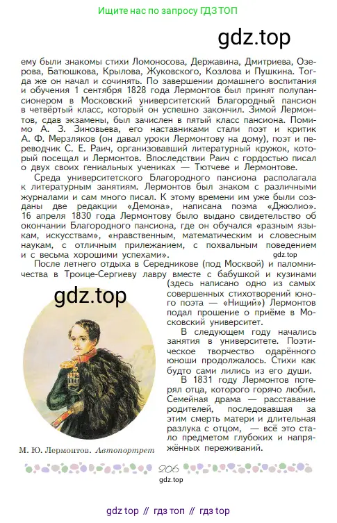 Русская литература, 6 класс Учебник, авторы: Полухина Валентина Павловна, Коровина Вера Яновна, Журавлев Виктор Петрович, Коровин Валентин Иванович, издательство Просвещение, Москва, 2023, бирюзового цвета, страница 206