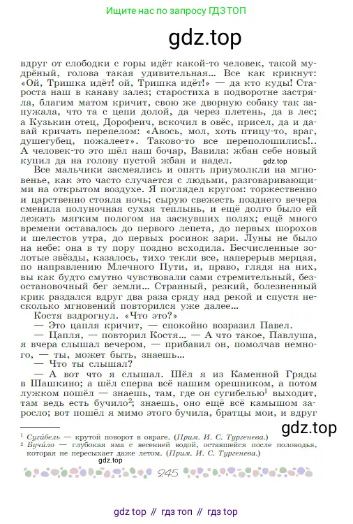 Русская литература, 6 класс Учебник, авторы: Полухина Валентина Павловна, Коровина Вера Яновна, Журавлев Виктор Петрович, Коровин Валентин Иванович, издательство Просвещение, Москва, 2023, бирюзового цвета, страница 245