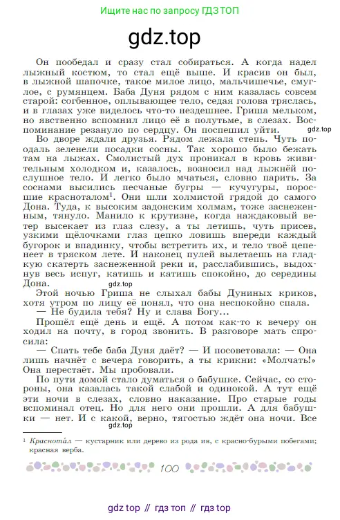 Русская литература, 6 класс Учебник, авторы: Полухина Валентина Павловна, Коровина Вера Яновна, Журавлев Виктор Петрович, Коровин Валентин Иванович, издательство Просвещение, Москва, 2023, бирюзового цвета, страница 100