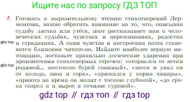 Русская литература, 6 класс Учебник, авторы: Полухина Валентина Павловна, Коровина Вера Яновна, Журавлев Виктор Петрович, Коровин Валентин Иванович, издательство Просвещение, Москва, 2023, бирюзового цвета, Часть 1, страница 216, номер 1, Условие