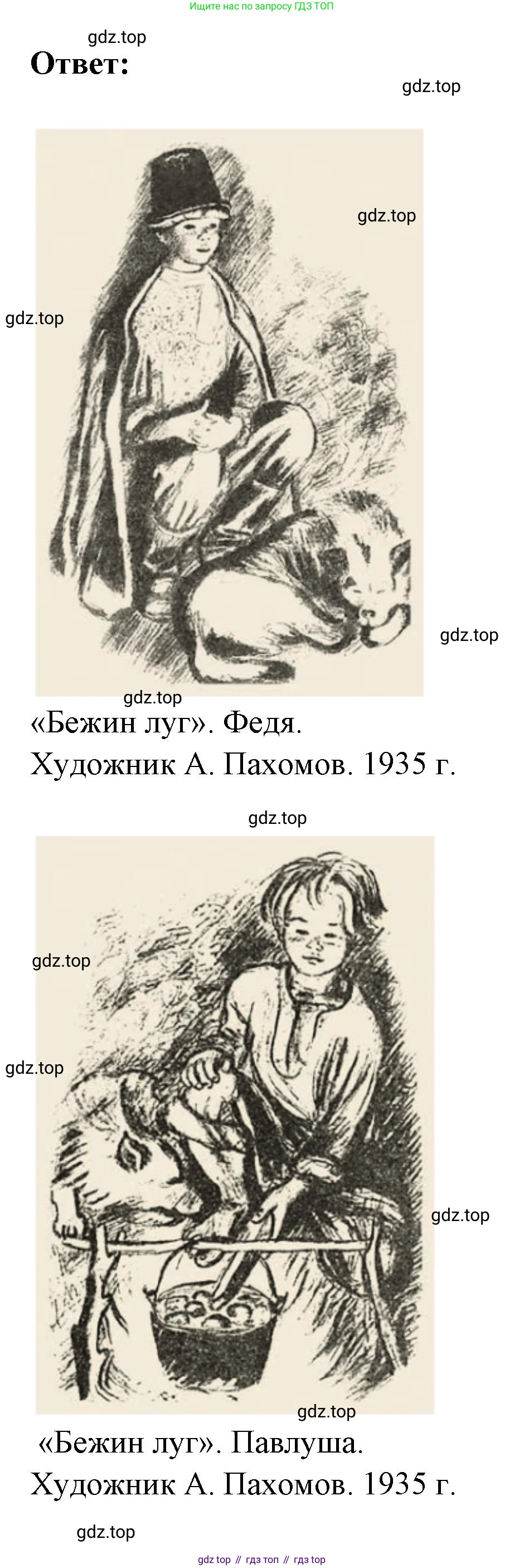 Русская литература, 6 класс Учебник, авторы: Полухина Валентина Павловна, Коровина Вера Яновна, Журавлев Виктор Петрович, Коровин Валентин Иванович, издательство Просвещение, Москва, 2023, бирюзового цвета, Часть 1, страница 251, Решение (продолжение 2)