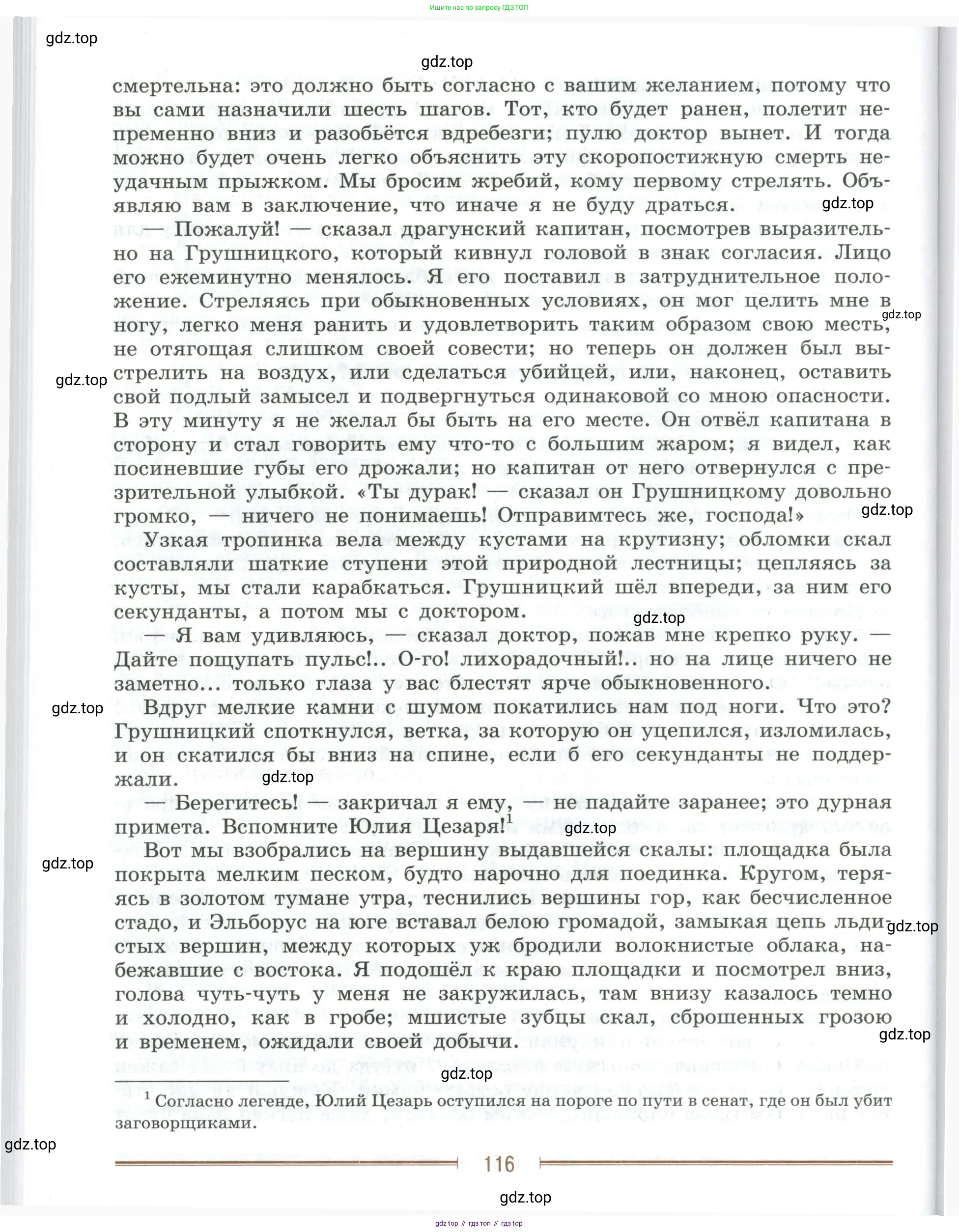Литература, 9 класс Учебник, авторы: Коровина Вера Яновна, Журавлев Виктор Петрович, Коровин Валентин Иванович, Збарский Исаак Семёнович, издательство Просвещение, Москва, 2023, бирюзового цвета, страница 116