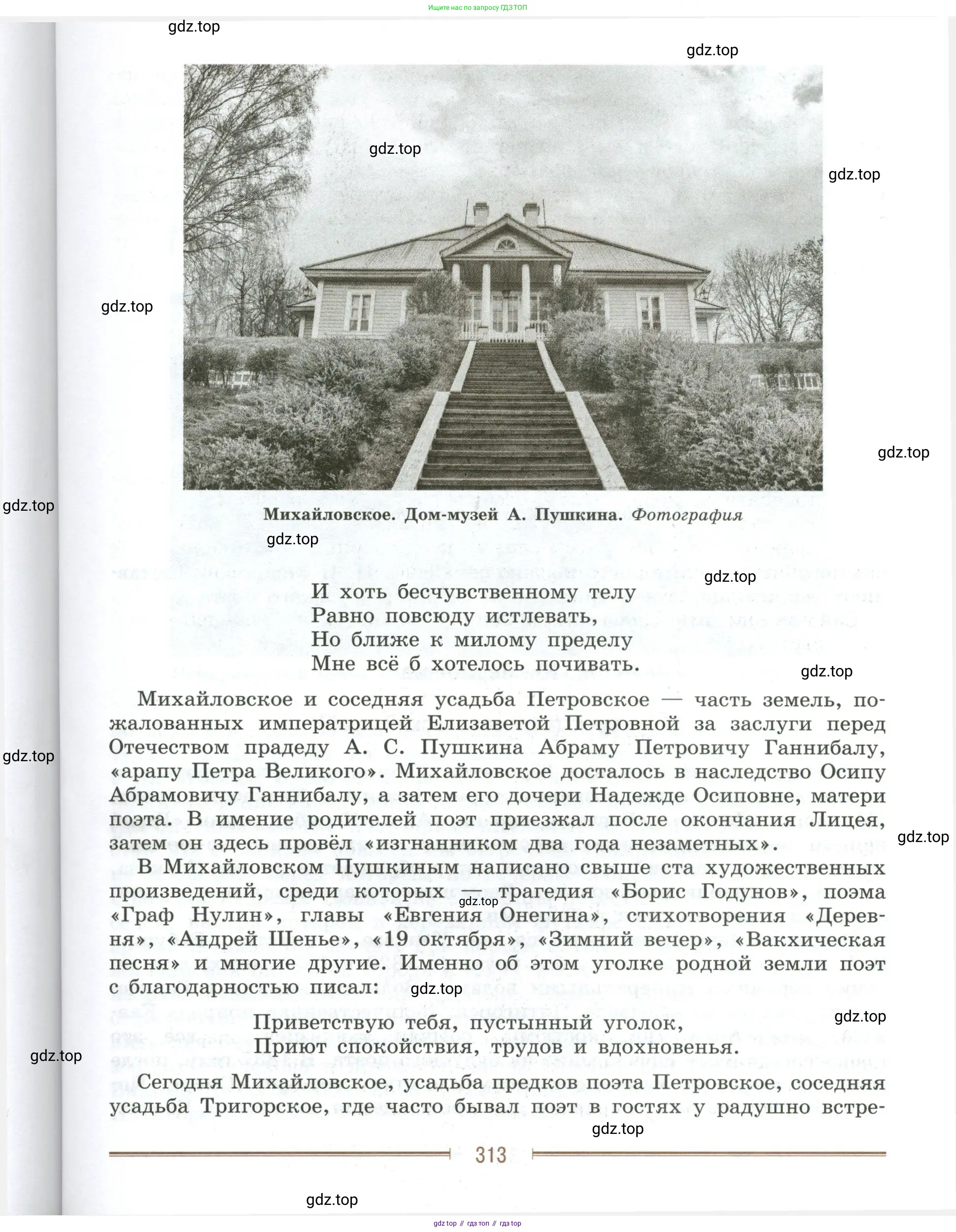 Литература, 9 класс Учебник, авторы: Коровина Вера Яновна, Журавлев Виктор Петрович, Коровин Валентин Иванович, Збарский Исаак Семёнович, издательство Просвещение, Москва, 2023, бирюзового цвета, страница 313
