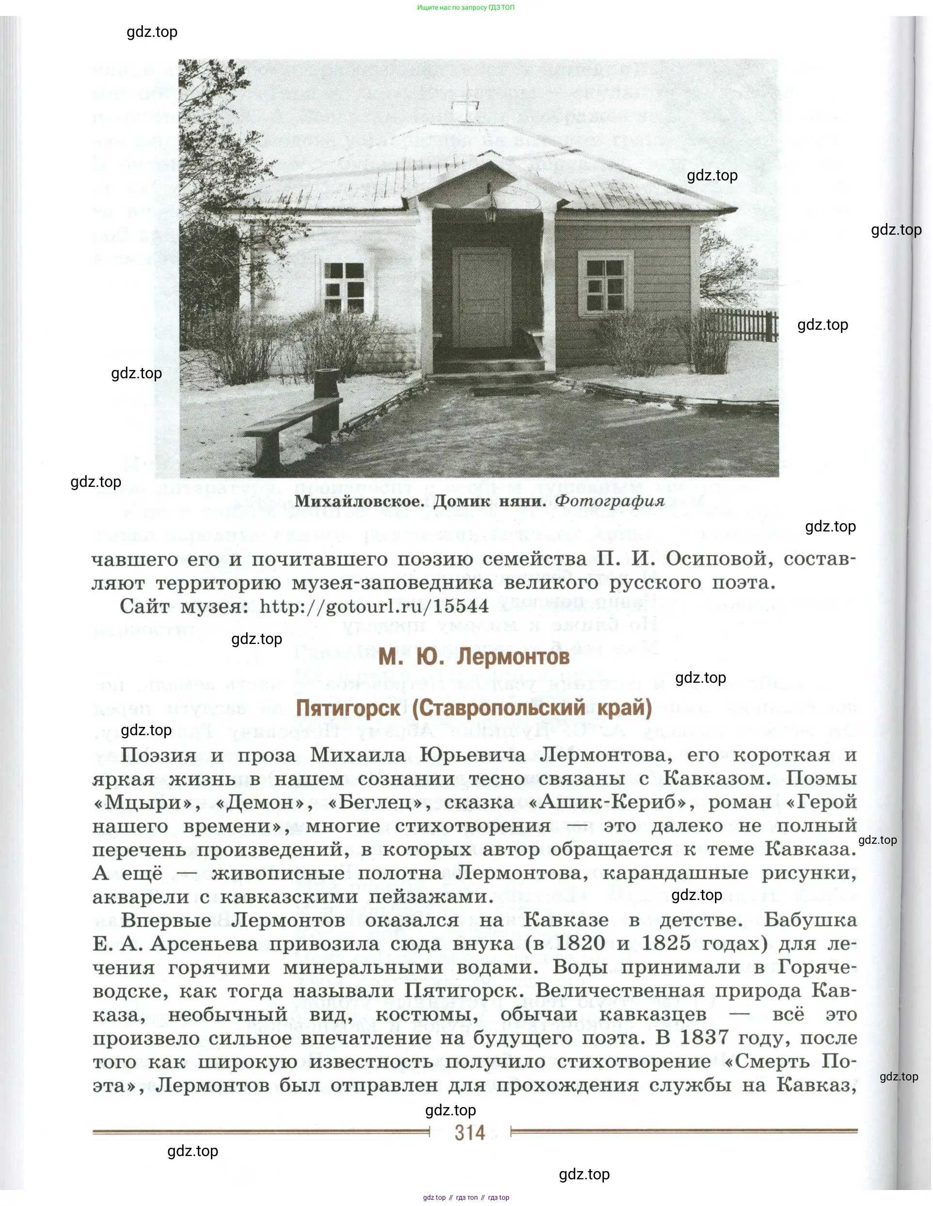 Литература, 9 класс Учебник, авторы: Коровина Вера Яновна, Журавлев Виктор Петрович, Коровин Валентин Иванович, Збарский Исаак Семёнович, издательство Просвещение, Москва, 2023, бирюзового цвета, Часть 1, страница 314