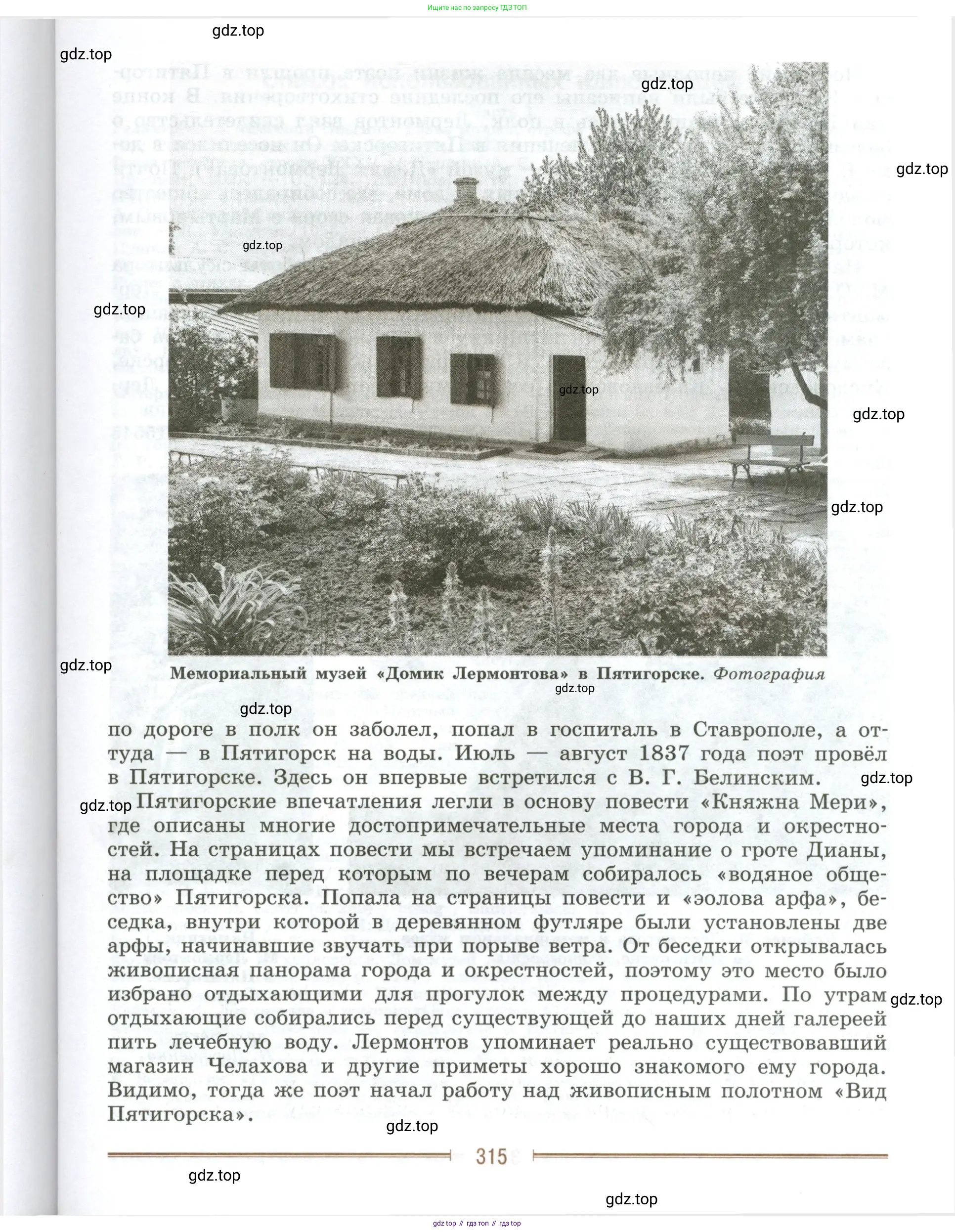 Литература, 9 класс Учебник, авторы: Коровина Вера Яновна, Журавлев Виктор Петрович, Коровин Валентин Иванович, Збарский Исаак Семёнович, издательство Просвещение, Москва, 2023, бирюзового цвета, страница 315