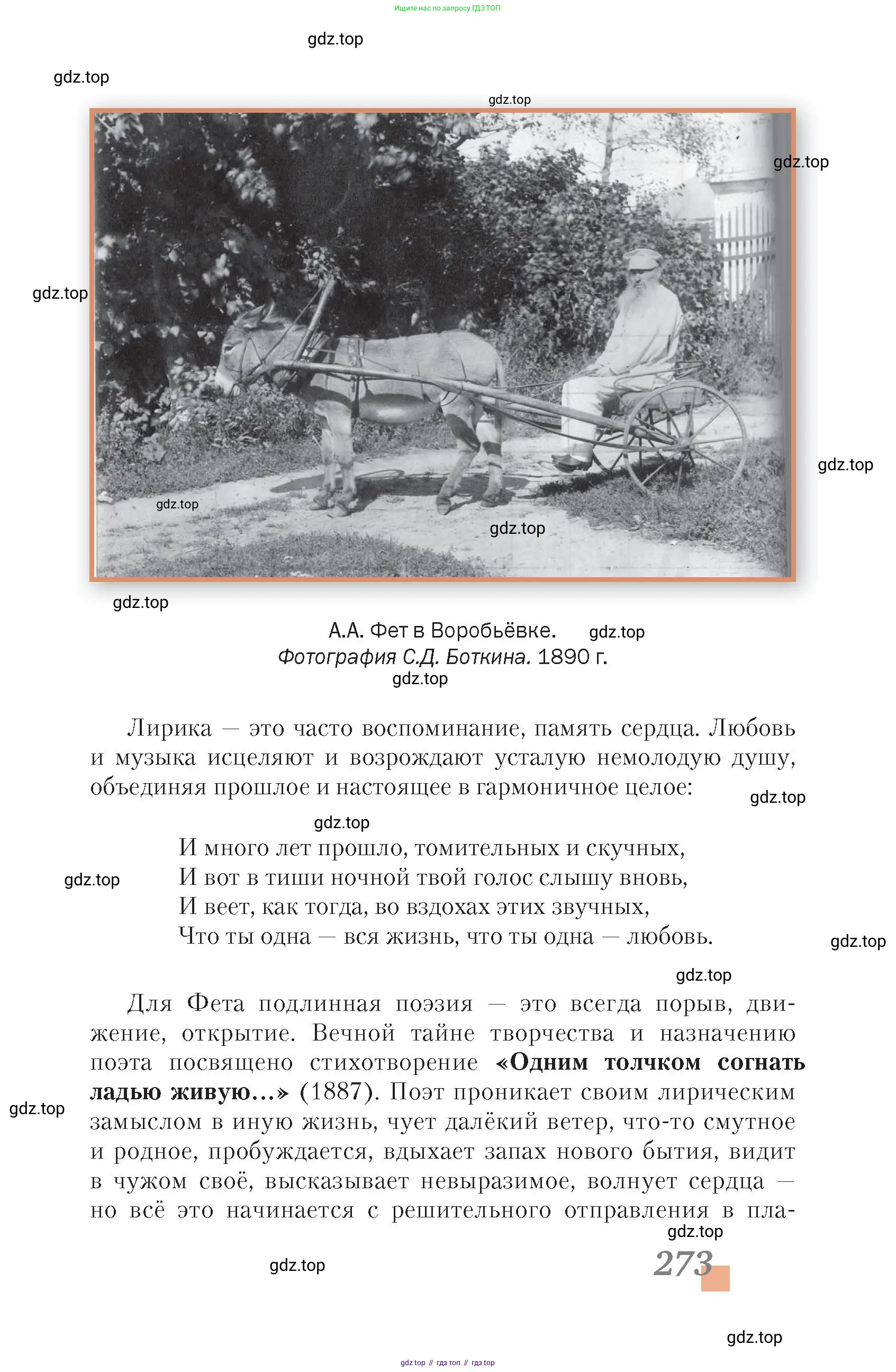 Литература, 10 класс Учебник, авторы: Зинин Сергей Александрович, Сахаров Всеволод Иванович, издательство Русское слово, Москва, 2019, красного цвета, страница 273