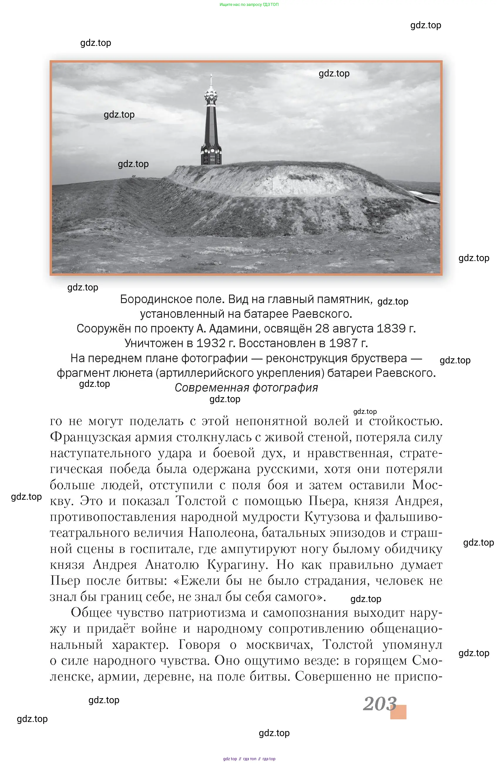 Литература, 10 класс Учебник, авторы: Зинин Сергей Александрович, Сахаров Всеволод Иванович, издательство Русское слово, Москва, 2019, красного цвета, Часть 1, страница 203