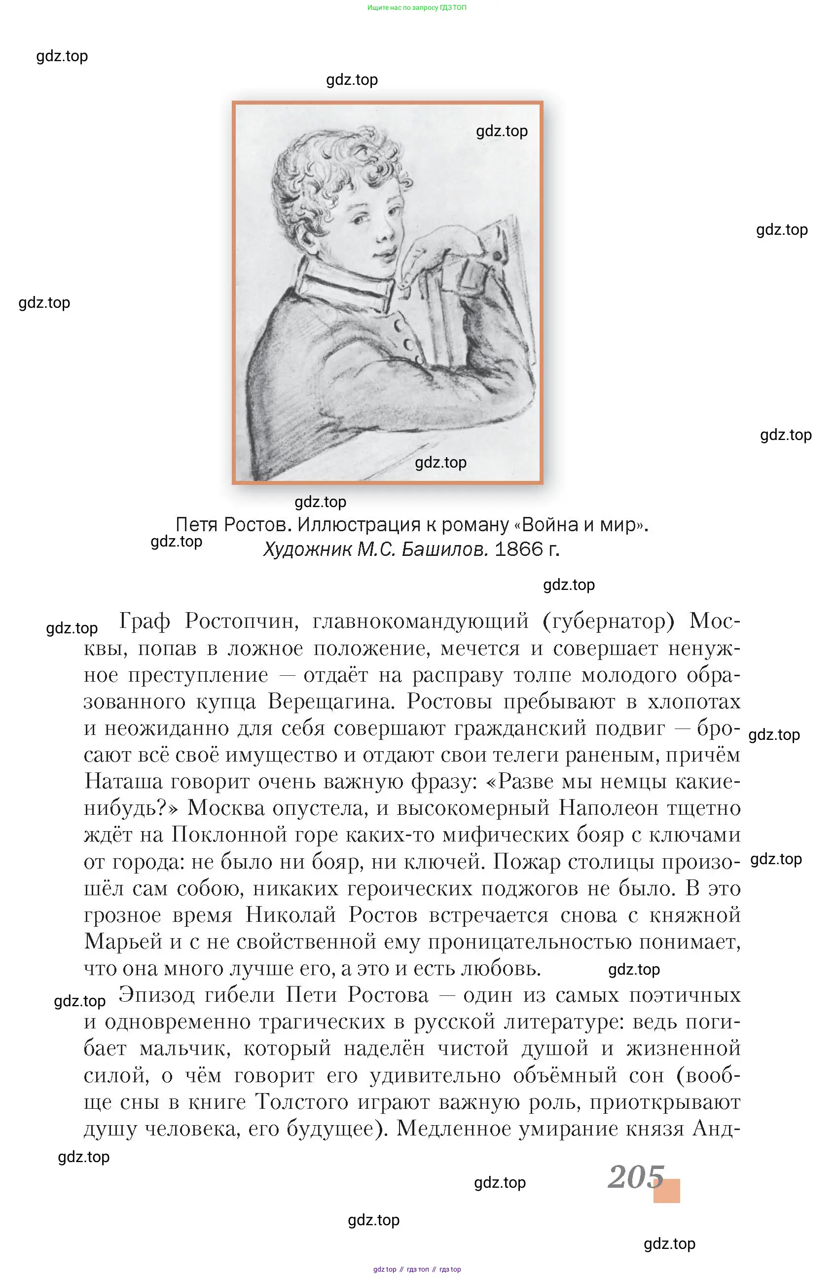 Литература, 10 класс Учебник, авторы: Зинин Сергей Александрович, Сахаров Всеволод Иванович, издательство Русское слово, Москва, 2019, красного цвета, Часть 1, страница 205