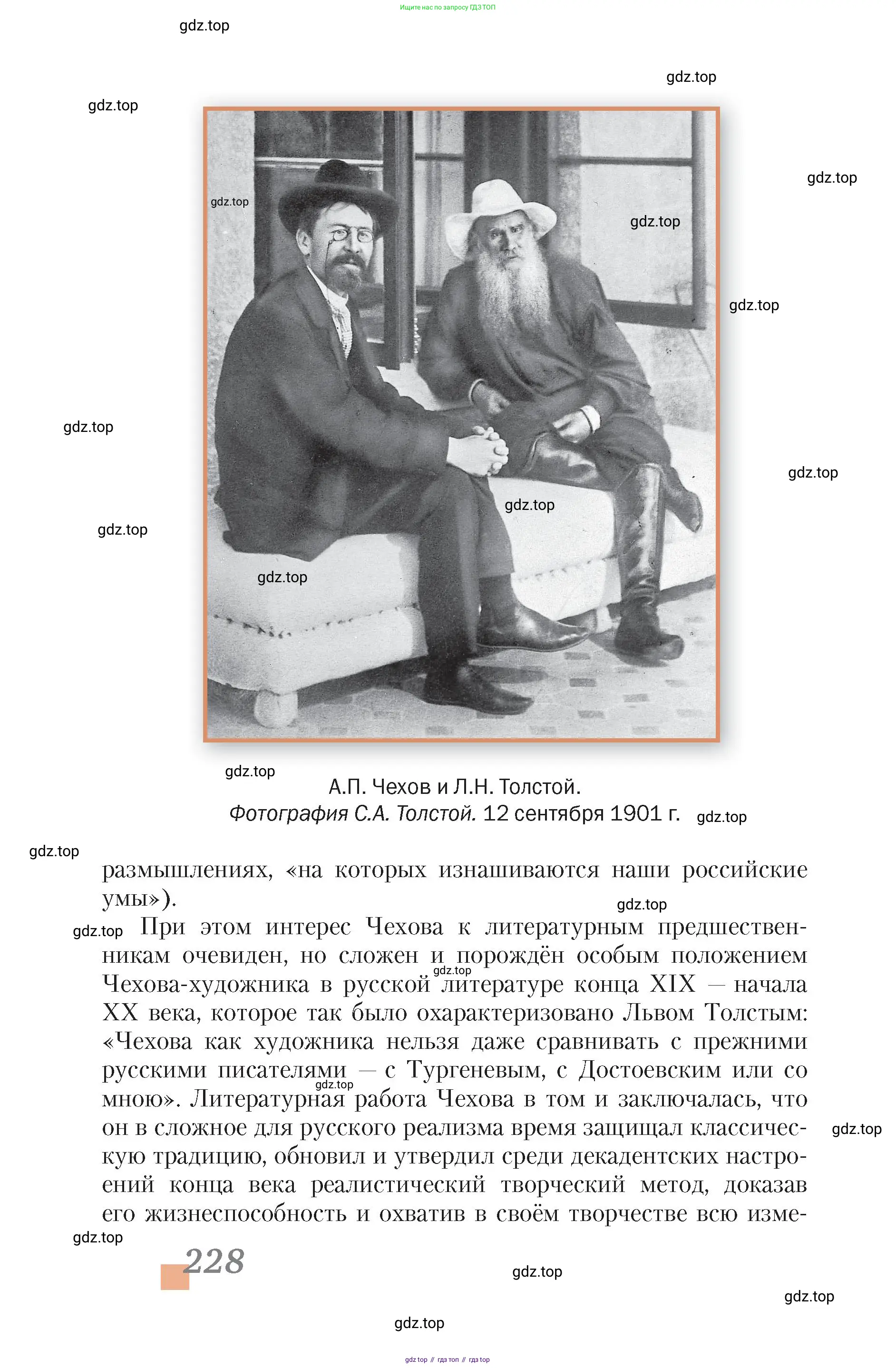 Литература, 10 класс Учебник, авторы: Зинин Сергей Александрович, Сахаров Всеволод Иванович, издательство Русское слово, Москва, 2019, красного цвета, Часть 1, страница 228