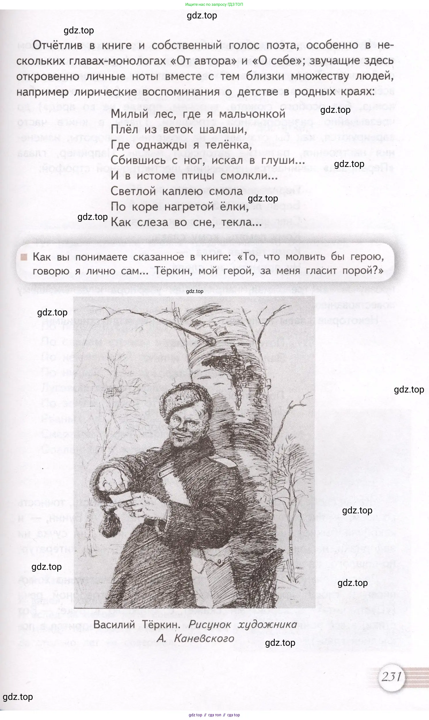 Литература, 11 класс Учебник, авторы: Михайлов Олег Николаевич, Шайтанов Игорь Олегович, Чалмаев Виктор Андреевич, Смирнова Людмила Алексеевна, Турков Андрей Михайлович, Журавлев Виктор Петрович, Марченко Алла Максимовна, Михайлов Александр Алексеевич, Белая Галина Анреевна, Свердлов Михаил Игоревич, издательство Просвещение, Москва, 2019, бирюзового цвета, Часть 1, страница 231