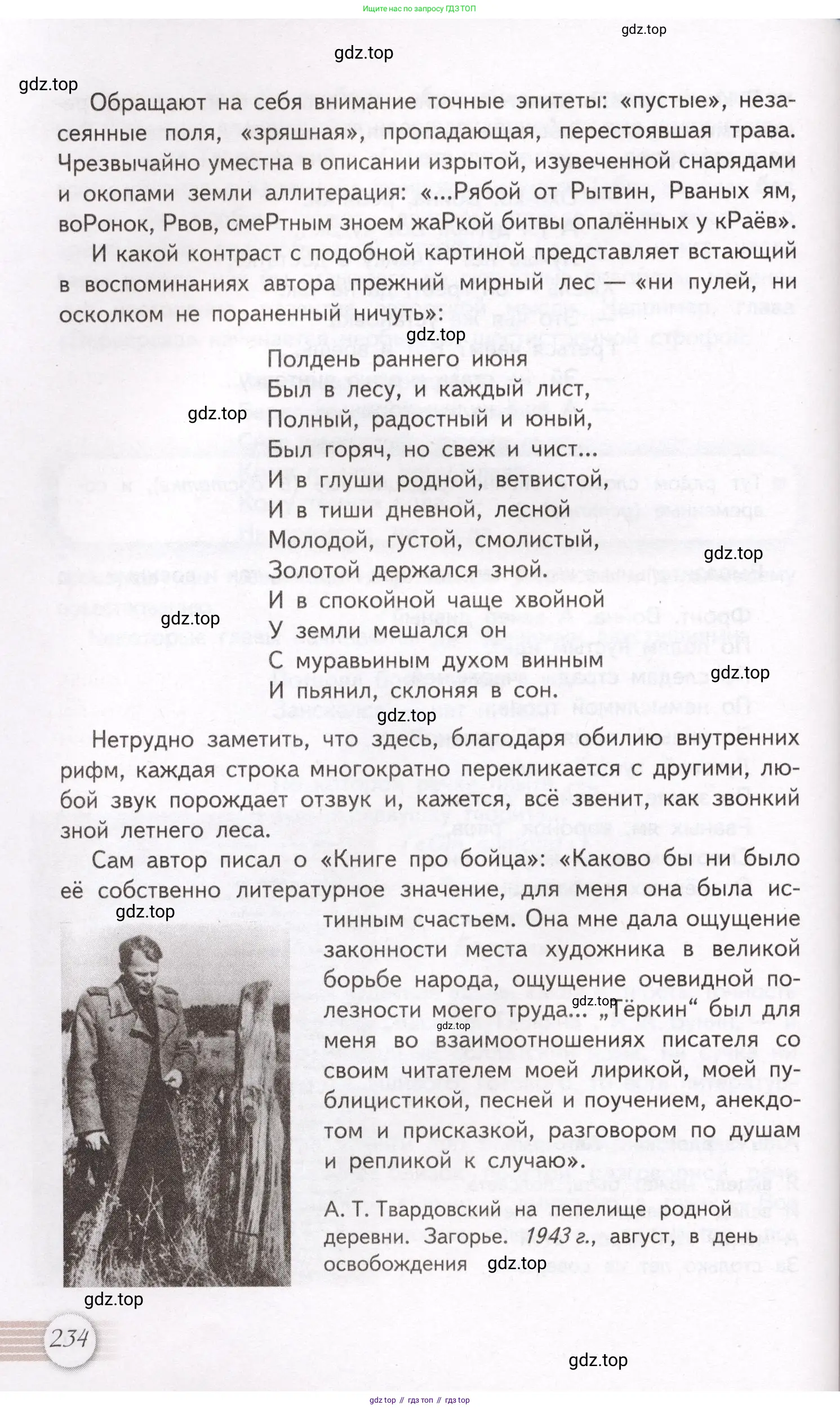 Литература, 11 класс Учебник, авторы: Михайлов Олег Николаевич, Шайтанов Игорь Олегович, Чалмаев Виктор Андреевич, Смирнова Людмила Алексеевна, Турков Андрей Михайлович, Журавлев Виктор Петрович, Марченко Алла Максимовна, Михайлов Александр Алексеевич, Белая Галина Анреевна, Свердлов Михаил Игоревич, издательство Просвещение, Москва, 2019, бирюзового цвета, Часть 1, страница 234