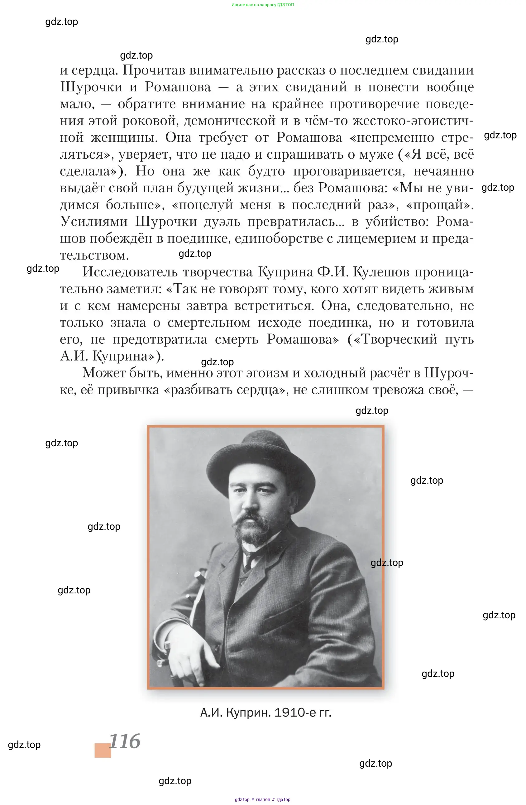 Литература, 11 класс Учебник, авторы: Зинин Сергей Александрович, Чалмаев Виктор Андреевич, издательство Русское слово, Москва, 2019, оранжевого цвета, страница 116