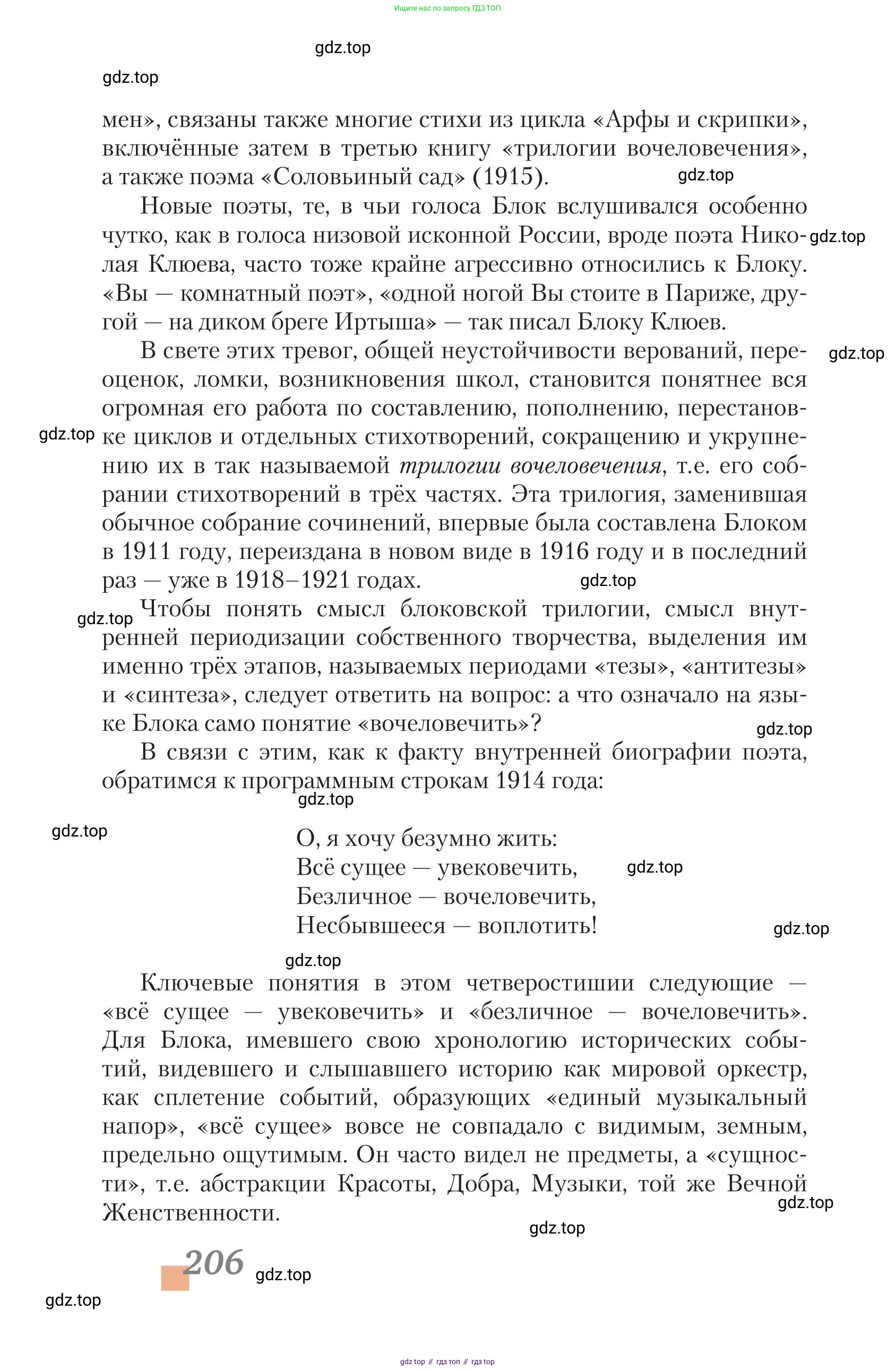 Литература, 11 класс Учебник, авторы: Зинин Сергей Александрович, Чалмаев Виктор Андреевич, издательство Русское слово, Москва, 2019, оранжевого цвета, страница 206