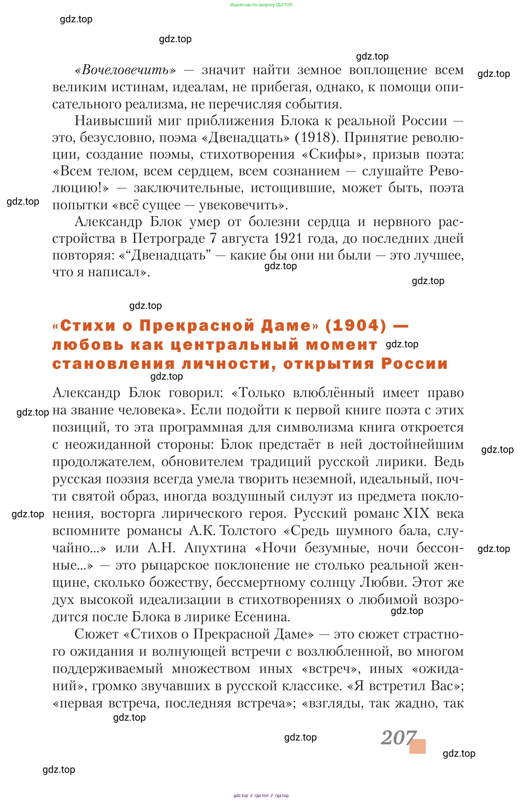 Литература, 11 класс Учебник, авторы: Зинин Сергей Александрович, Чалмаев Виктор Андреевич, издательство Русское слово, Москва, 2019, оранжевого цвета, Часть 1, страница 207
