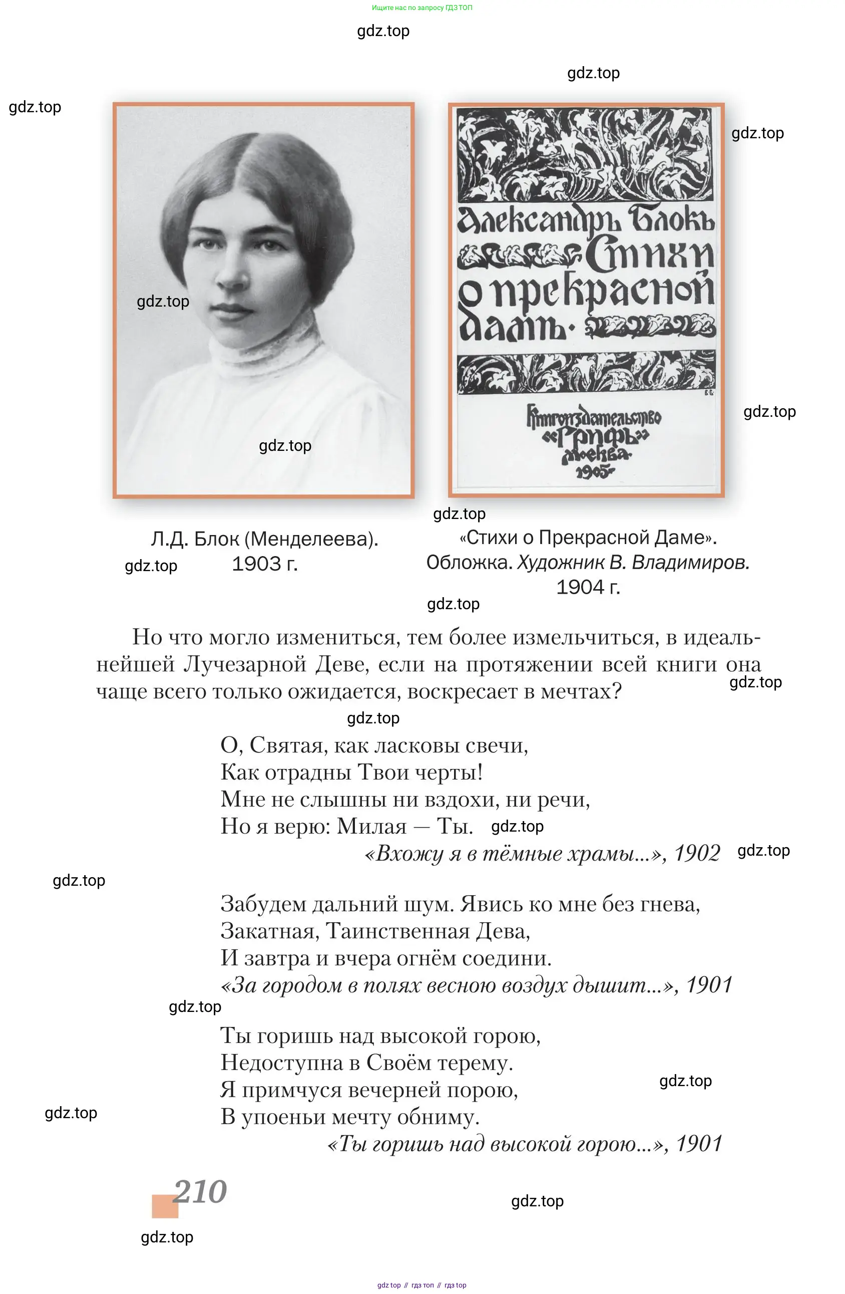 Литература, 11 класс Учебник, авторы: Зинин Сергей Александрович, Чалмаев Виктор Андреевич, издательство Русское слово, Москва, 2019, оранжевого цвета, Часть 2, страница 210