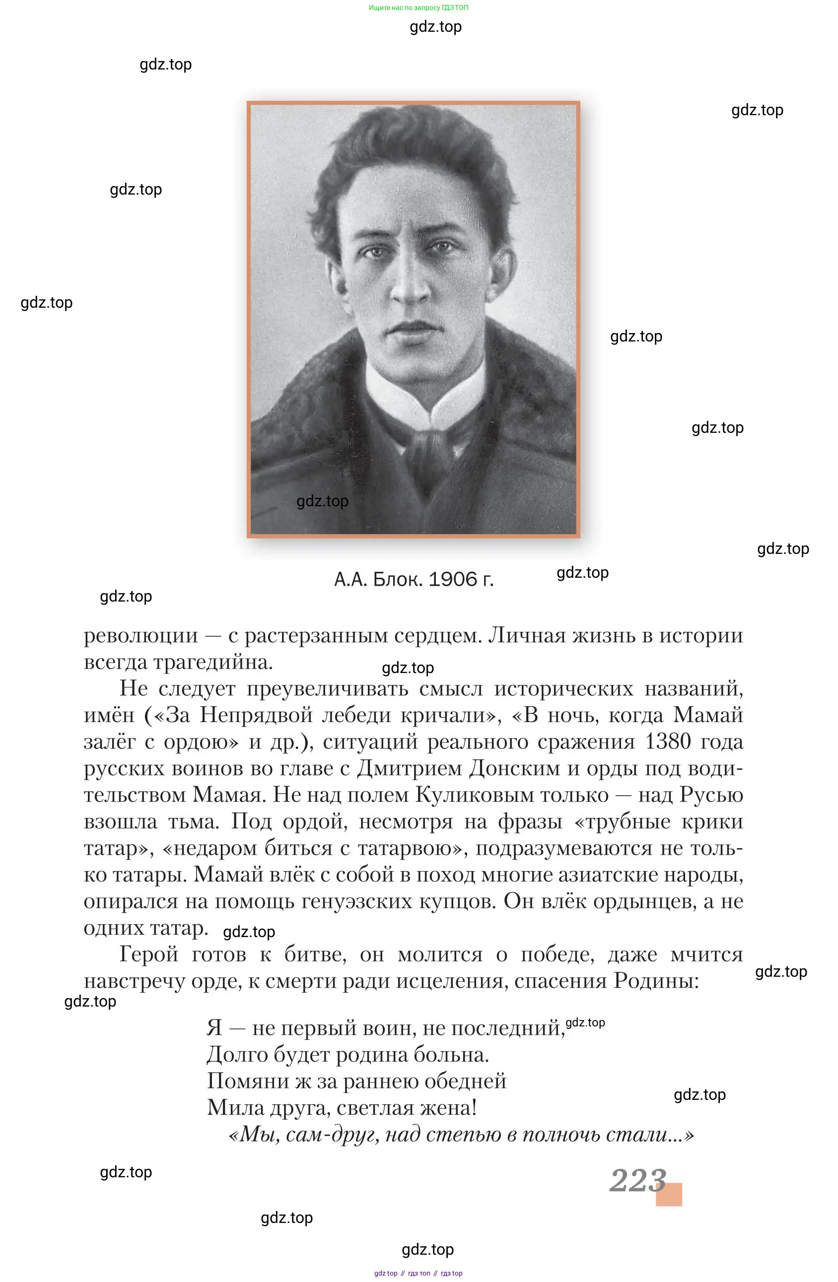 Литература, 11 класс Учебник, авторы: Зинин Сергей Александрович, Чалмаев Виктор Андреевич, издательство Русское слово, Москва, 2019, оранжевого цвета, страница 223