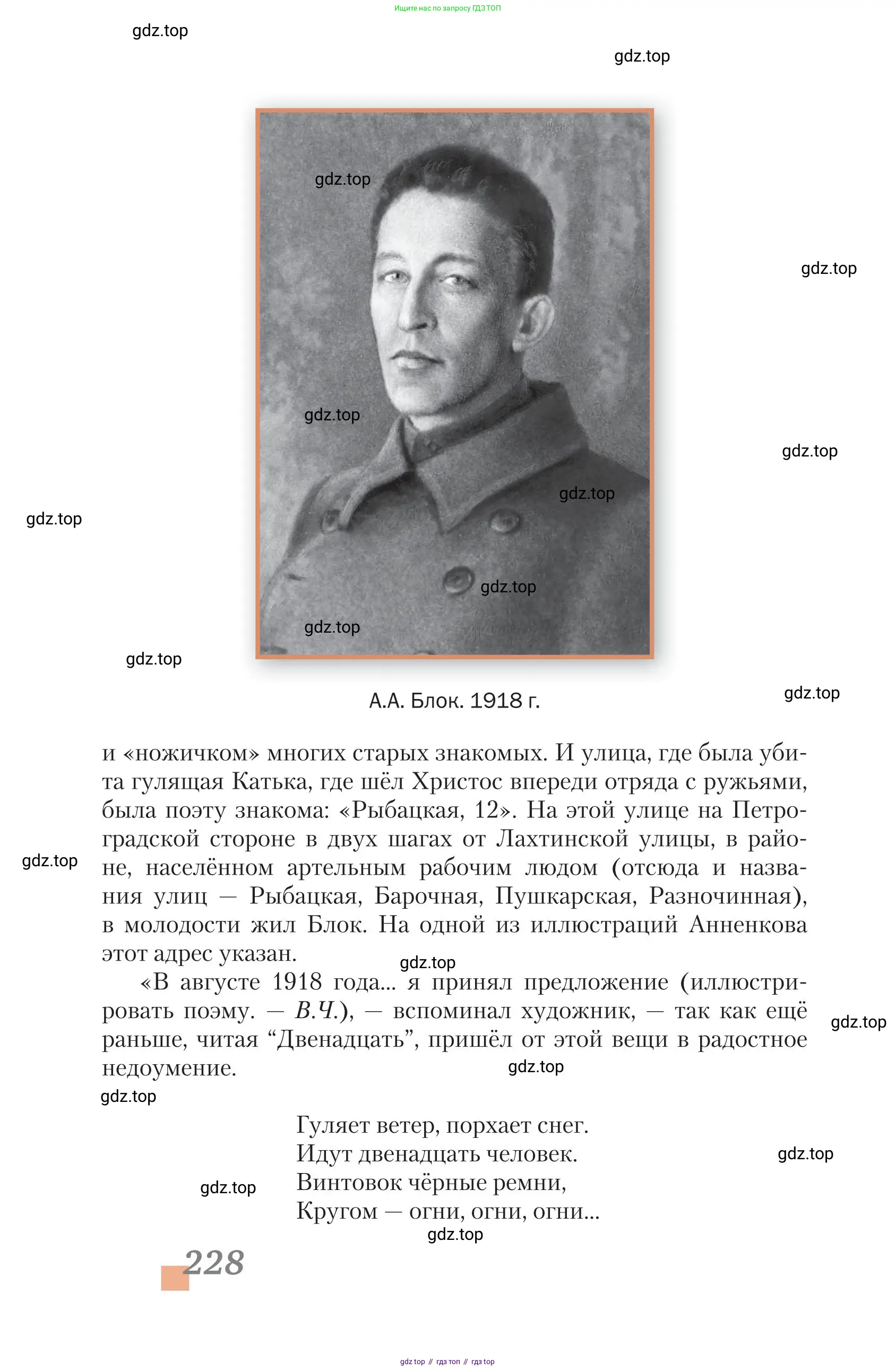 Литература, 11 класс Учебник, авторы: Зинин Сергей Александрович, Чалмаев Виктор Андреевич, издательство Русское слово, Москва, 2019, оранжевого цвета, Часть 2, страница 228
