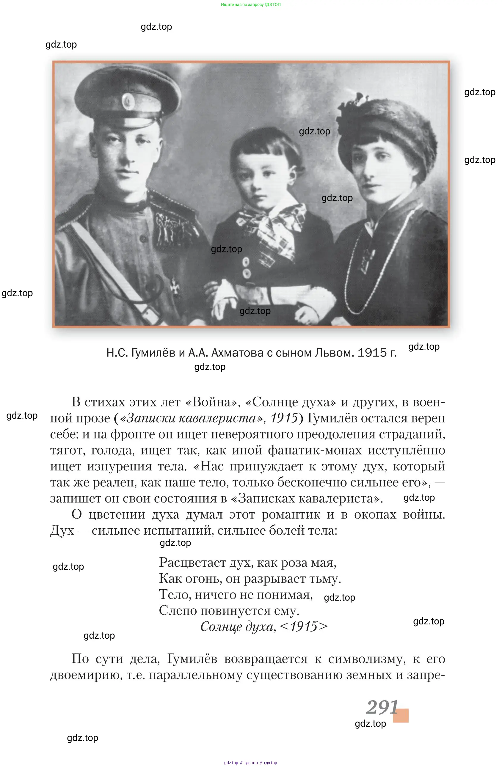 Литература, 11 класс Учебник, авторы: Зинин Сергей Александрович, Чалмаев Виктор Андреевич, издательство Русское слово, Москва, 2019, оранжевого цвета, страница 291