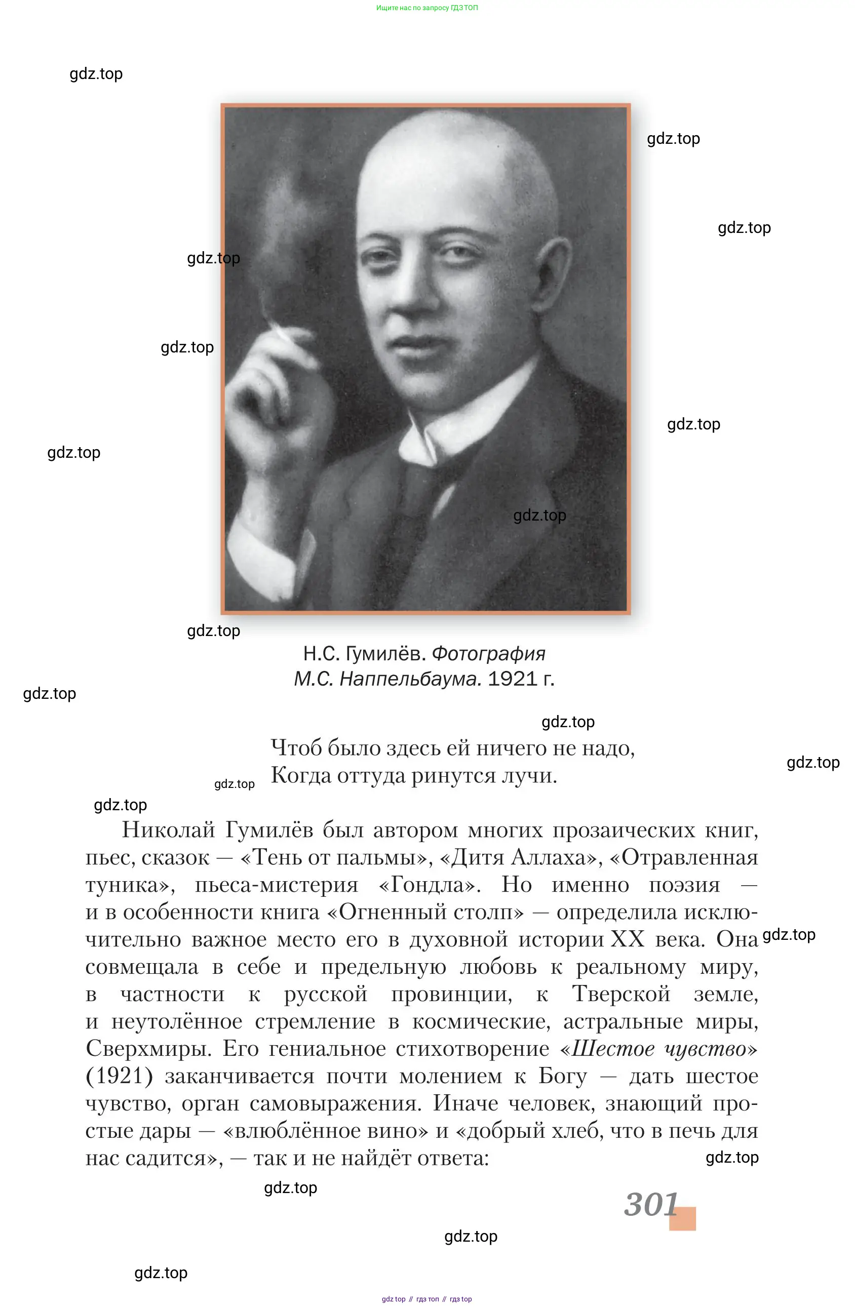 Литература, 11 класс Учебник, авторы: Зинин Сергей Александрович, Чалмаев Виктор Андреевич, издательство Русское слово, Москва, 2019, оранжевого цвета, страница 301