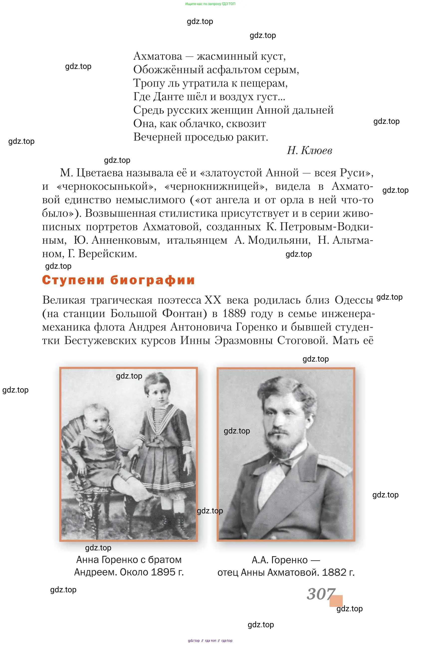 Литература, 11 класс Учебник, авторы: Зинин Сергей Александрович, Чалмаев Виктор Андреевич, издательство Русское слово, Москва, 2019, оранжевого цвета, Часть 1, страница 307