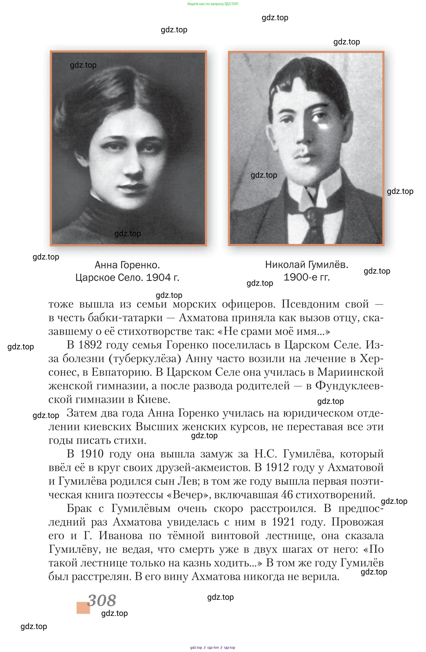Литература, 11 класс Учебник, авторы: Зинин Сергей Александрович, Чалмаев Виктор Андреевич, издательство Русское слово, Москва, 2019, оранжевого цвета, Часть 2, страница 308