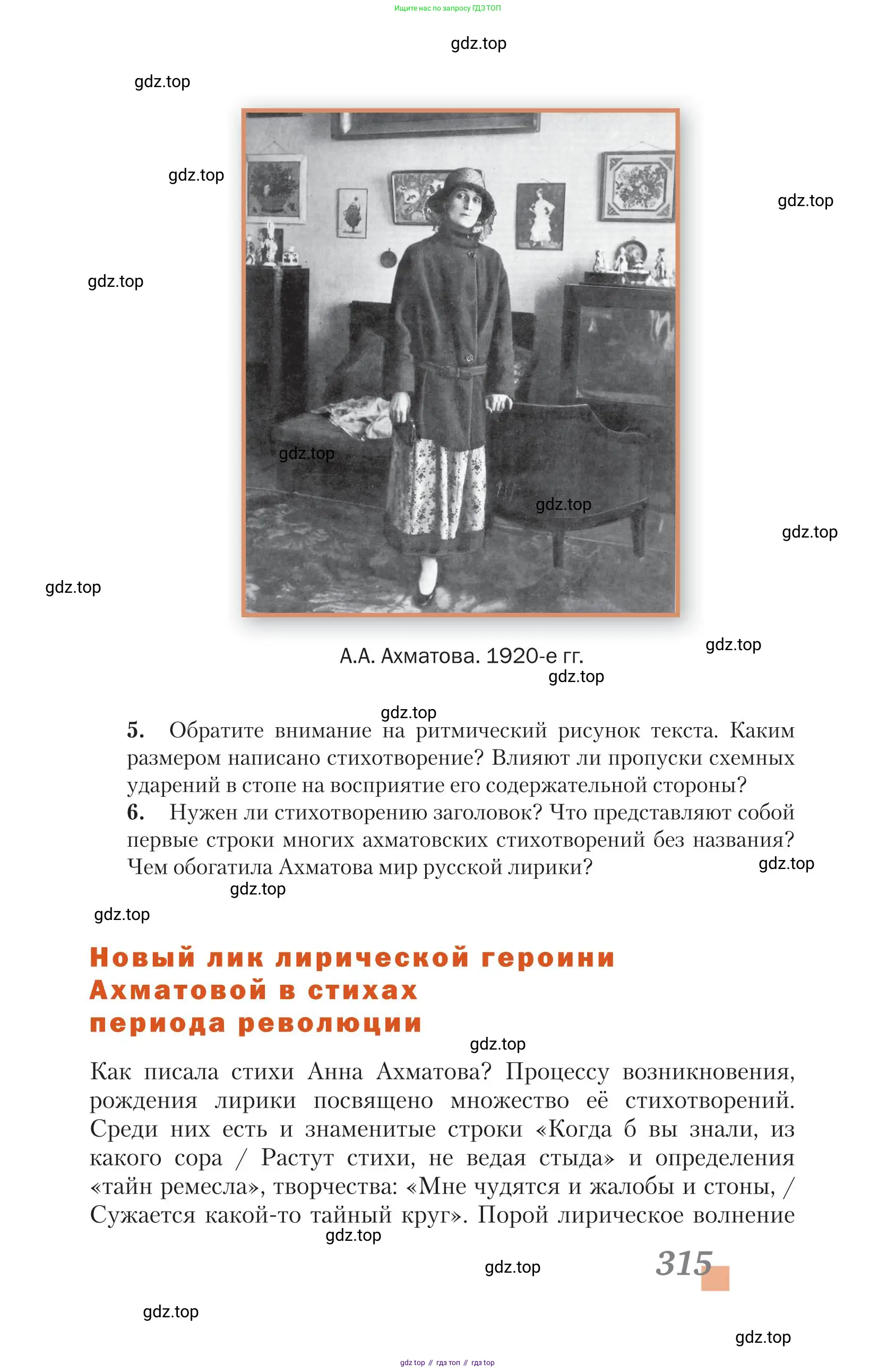 Литература, 11 класс Учебник, авторы: Зинин Сергей Александрович, Чалмаев Виктор Андреевич, издательство Русское слово, Москва, 2019, оранжевого цвета, Часть 1, страница 315