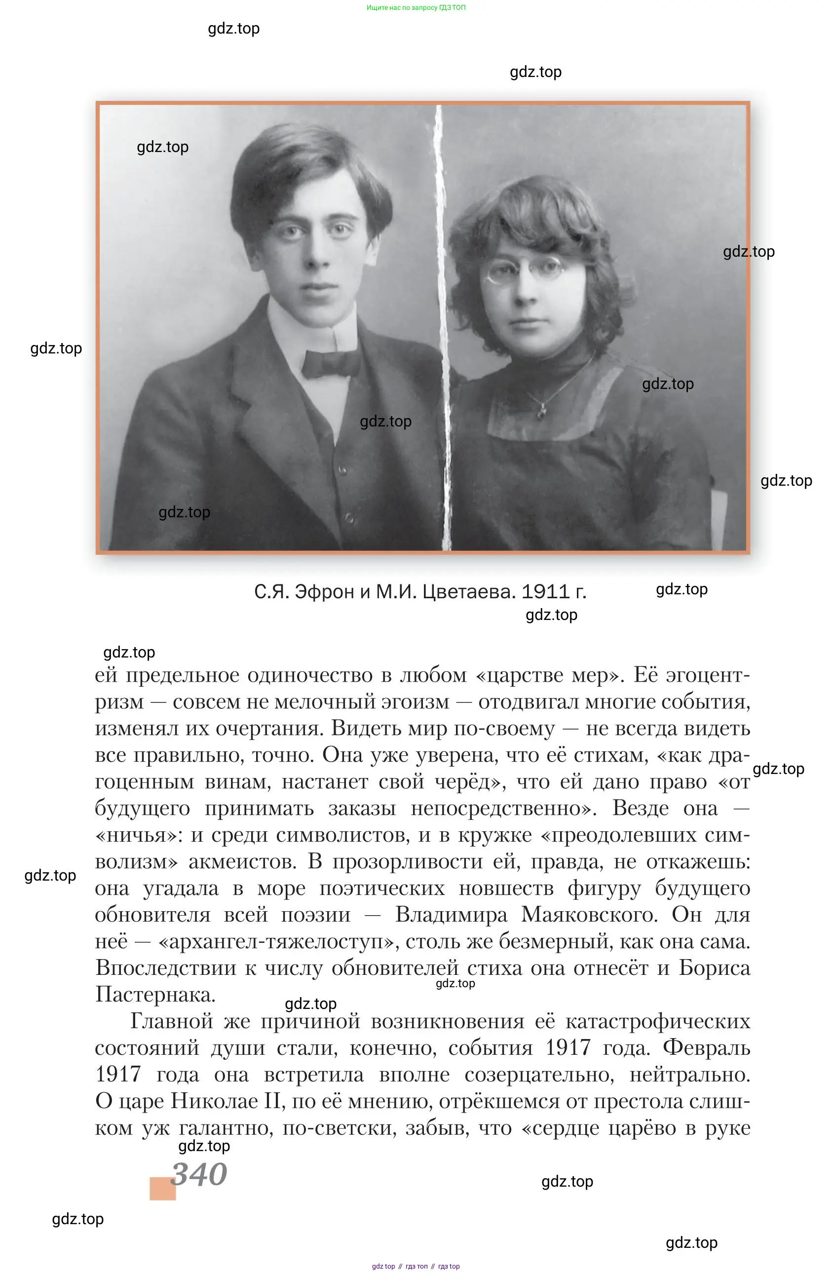 Литература, 11 класс Учебник, авторы: Зинин Сергей Александрович, Чалмаев Виктор Андреевич, издательство Русское слово, Москва, 2019, оранжевого цвета, Часть 2, страница 340