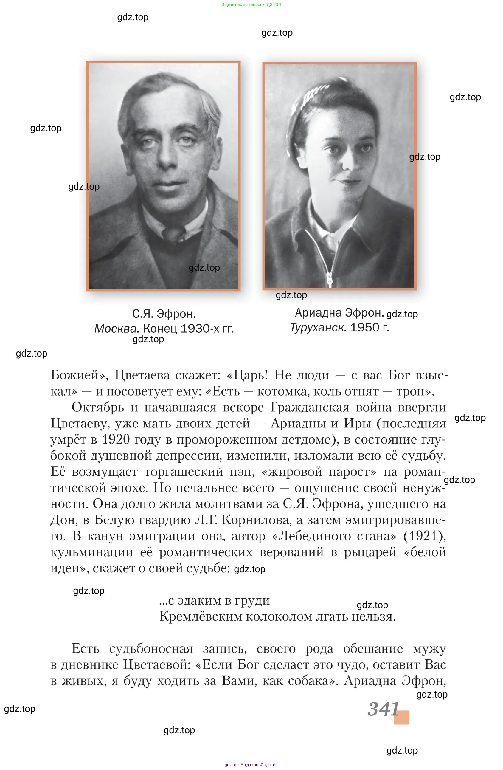 Литература, 11 класс Учебник, авторы: Зинин Сергей Александрович, Чалмаев Виктор Андреевич, издательство Русское слово, Москва, 2019, оранжевого цвета, страница 341