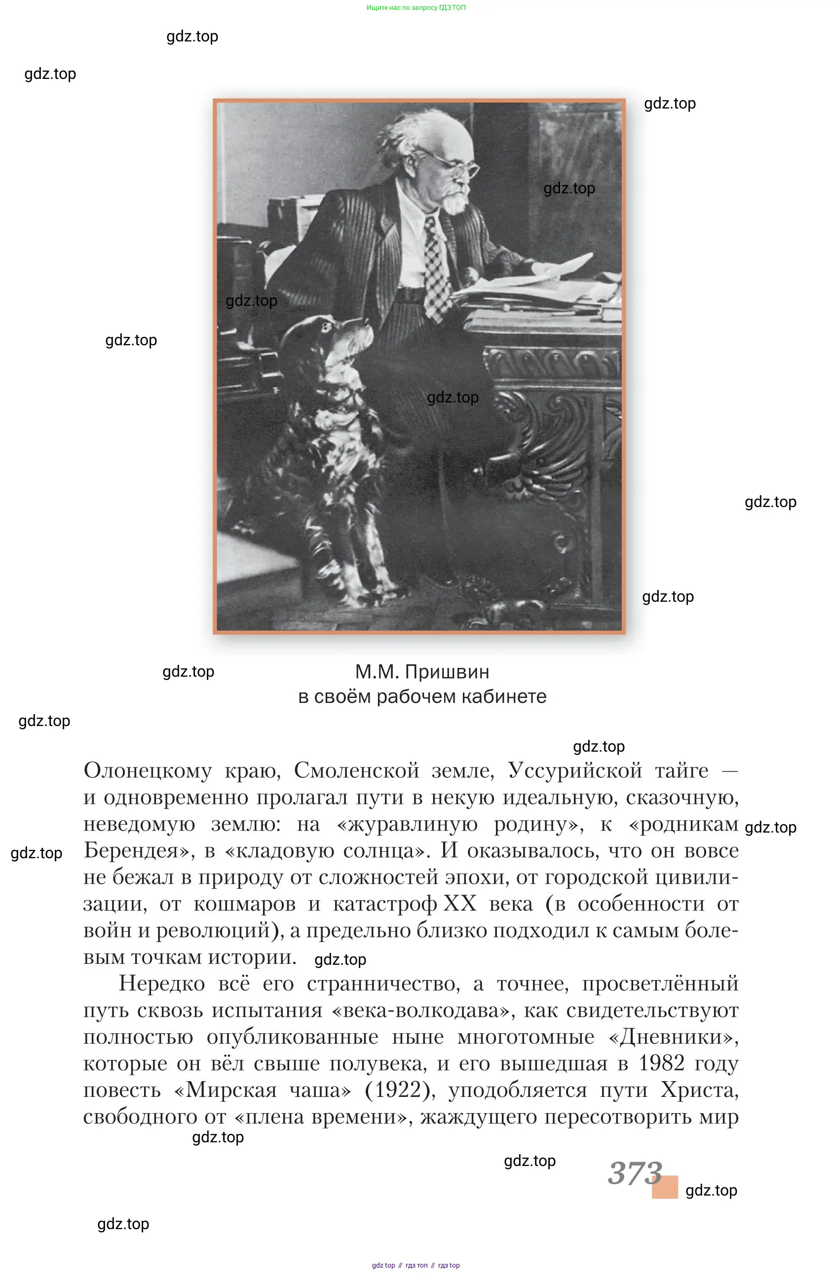 Литература, 11 класс Учебник, авторы: Зинин Сергей Александрович, Чалмаев Виктор Андреевич, издательство Русское слово, Москва, 2019, оранжевого цвета, страница 373