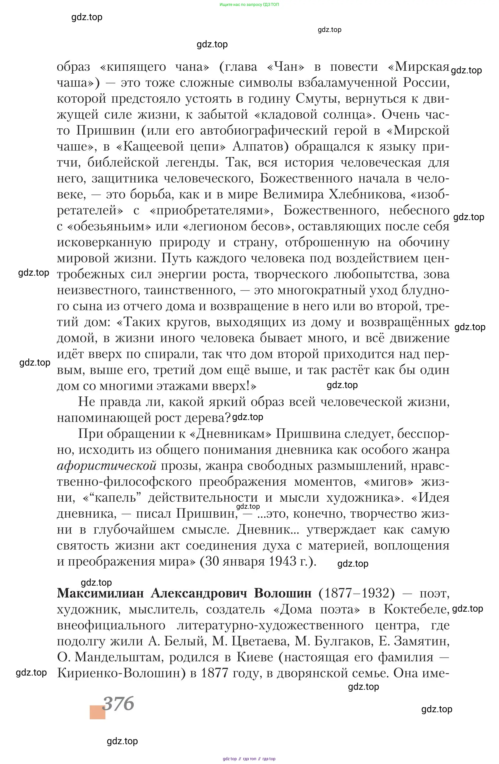 Литература, 11 класс Учебник, авторы: Зинин Сергей Александрович, Чалмаев Виктор Андреевич, издательство Русское слово, Москва, 2019, оранжевого цвета, Часть 1, страница 376