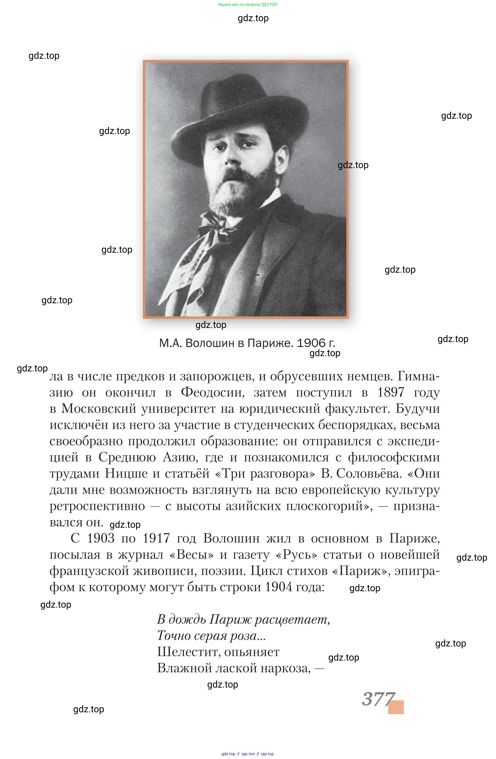 Литература, 11 класс Учебник, авторы: Зинин Сергей Александрович, Чалмаев Виктор Андреевич, издательство Русское слово, Москва, 2019, оранжевого цвета, страница 377