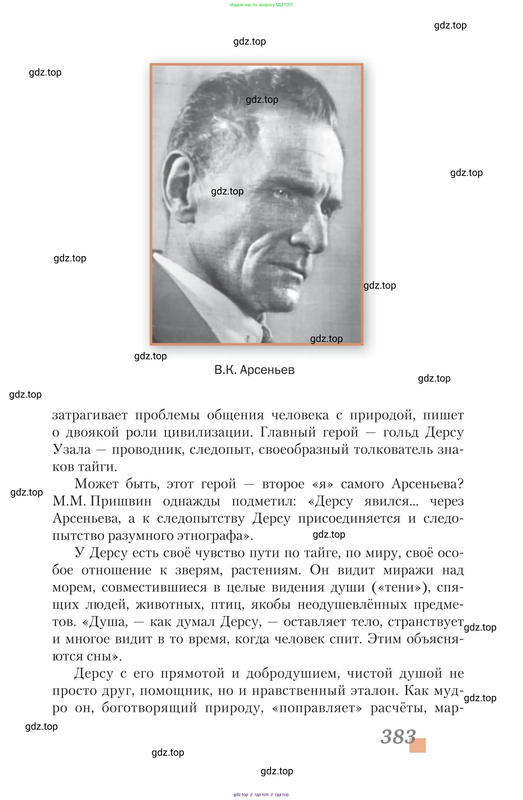 Литература, 11 класс Учебник, авторы: Зинин Сергей Александрович, Чалмаев Виктор Андреевич, издательство Русское слово, Москва, 2019, оранжевого цвета, страница 383