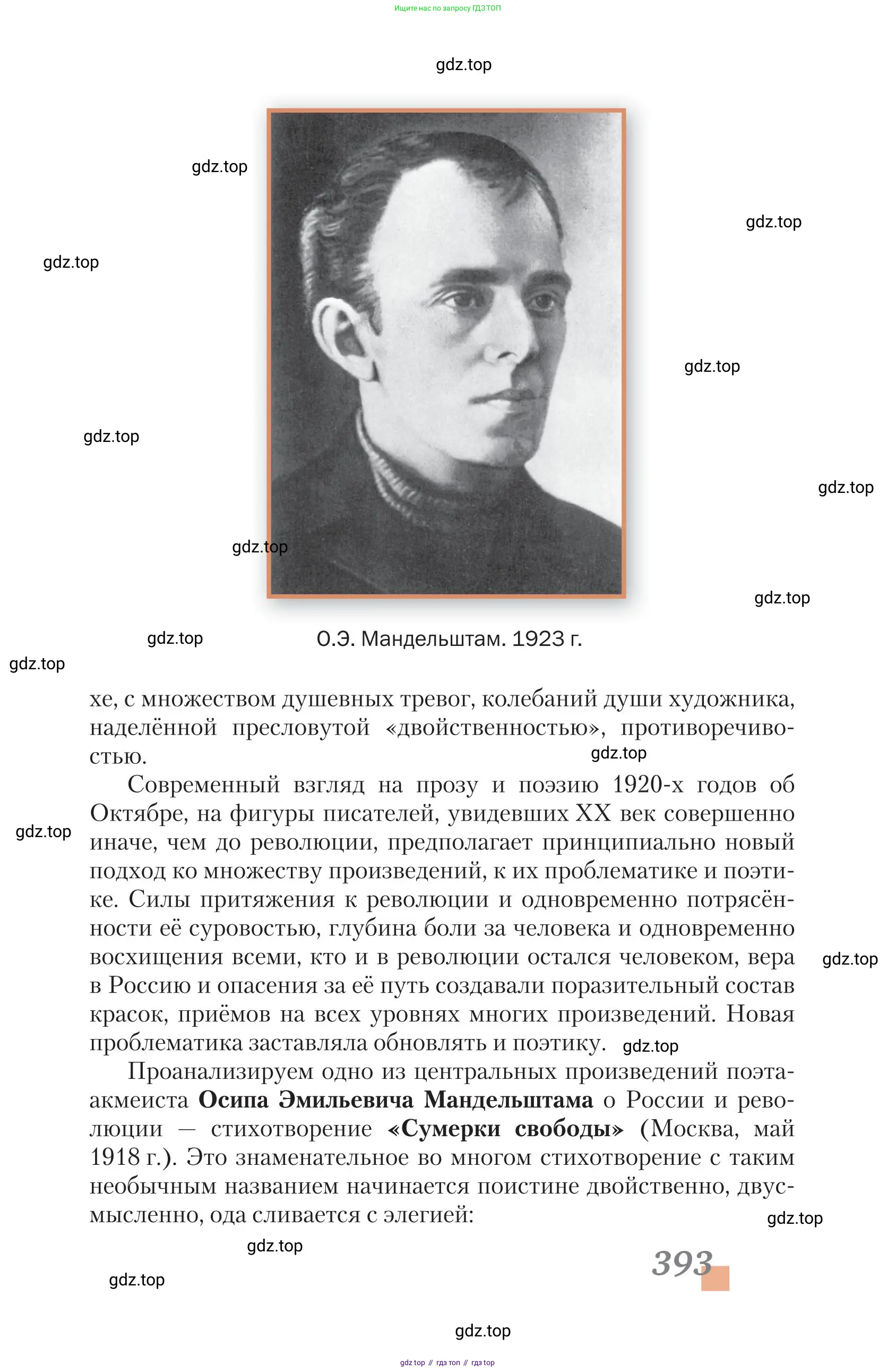 Литература, 11 класс Учебник, авторы: Зинин Сергей Александрович, Чалмаев Виктор Андреевич, издательство Русское слово, Москва, 2019, оранжевого цвета, Часть 2, страница 393