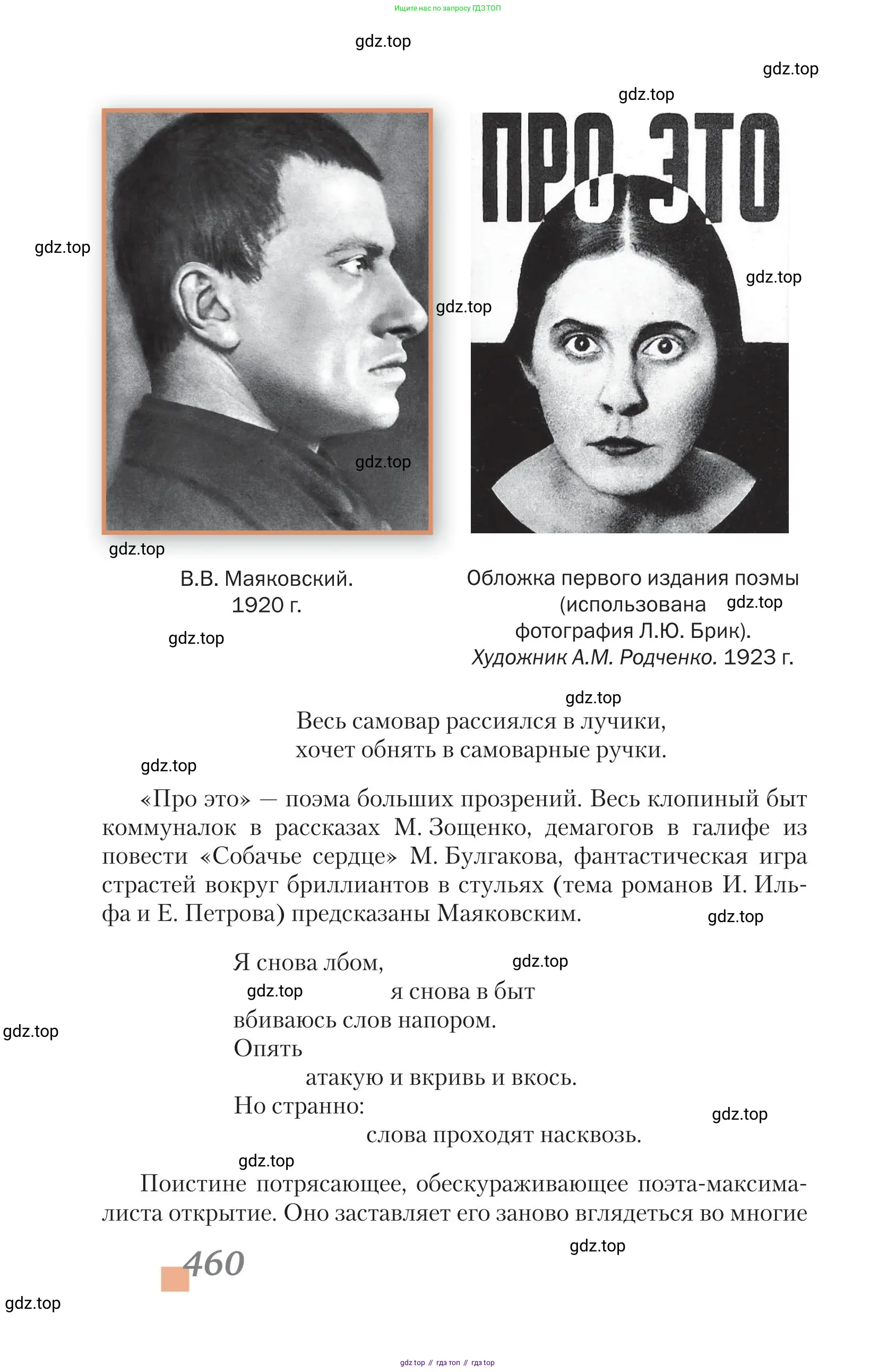 Литература, 11 класс Учебник, авторы: Зинин Сергей Александрович, Чалмаев Виктор Андреевич, издательство Русское слово, Москва, 2019, оранжевого цвета, страница 460