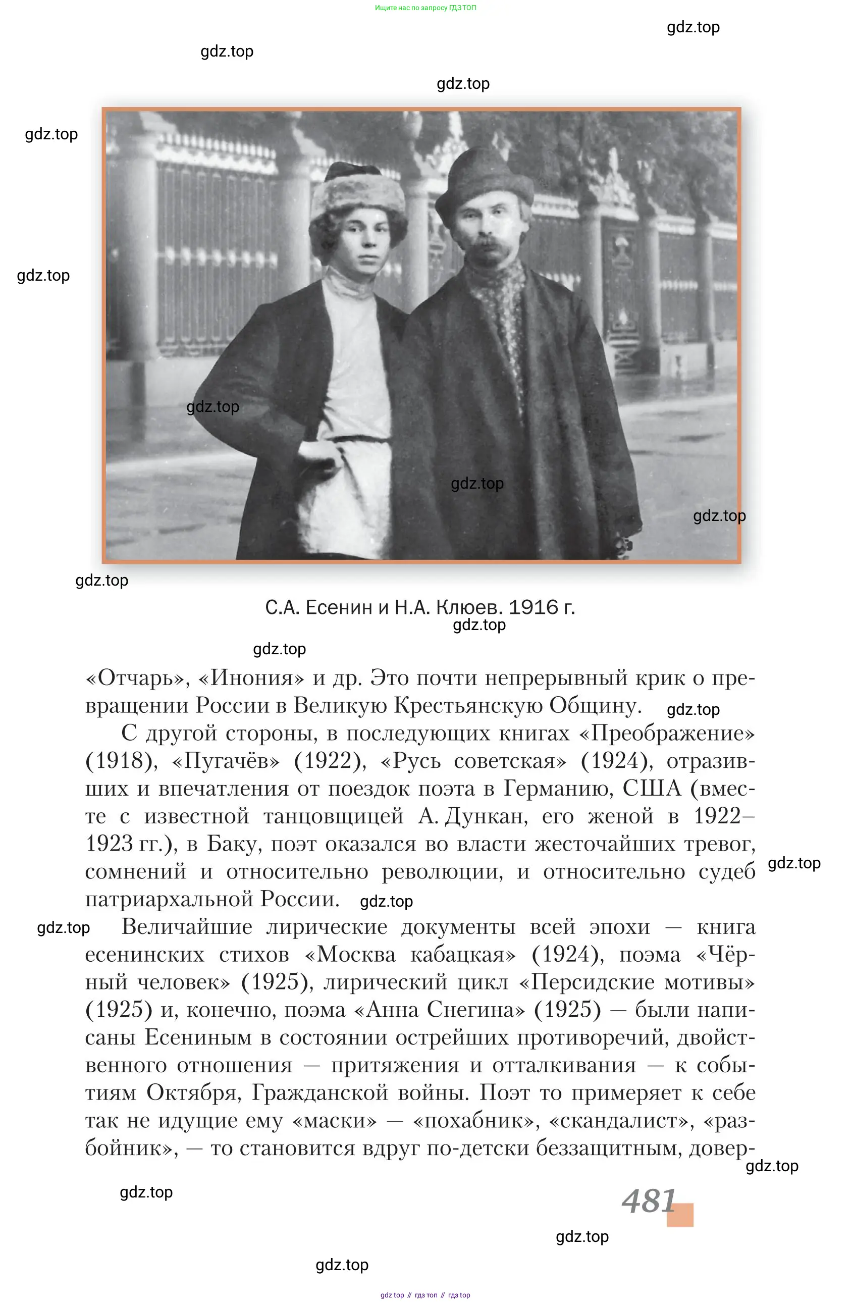 Литература, 11 класс Учебник, авторы: Зинин Сергей Александрович, Чалмаев Виктор Андреевич, издательство Русское слово, Москва, 2019, оранжевого цвета, Часть 2, страница 481