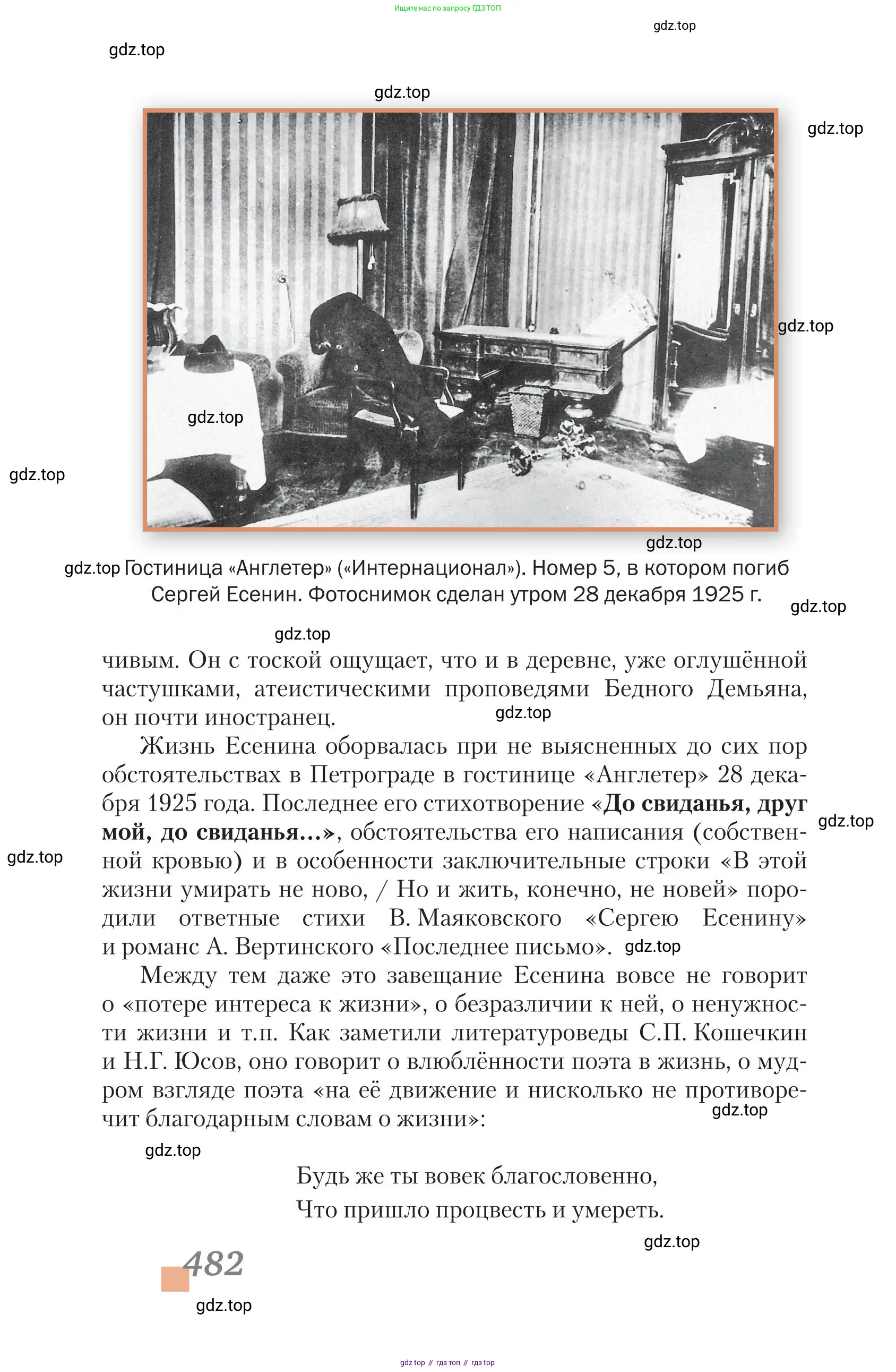Литература, 11 класс Учебник, авторы: Зинин Сергей Александрович, Чалмаев Виктор Андреевич, издательство Русское слово, Москва, 2019, оранжевого цвета, страница 482