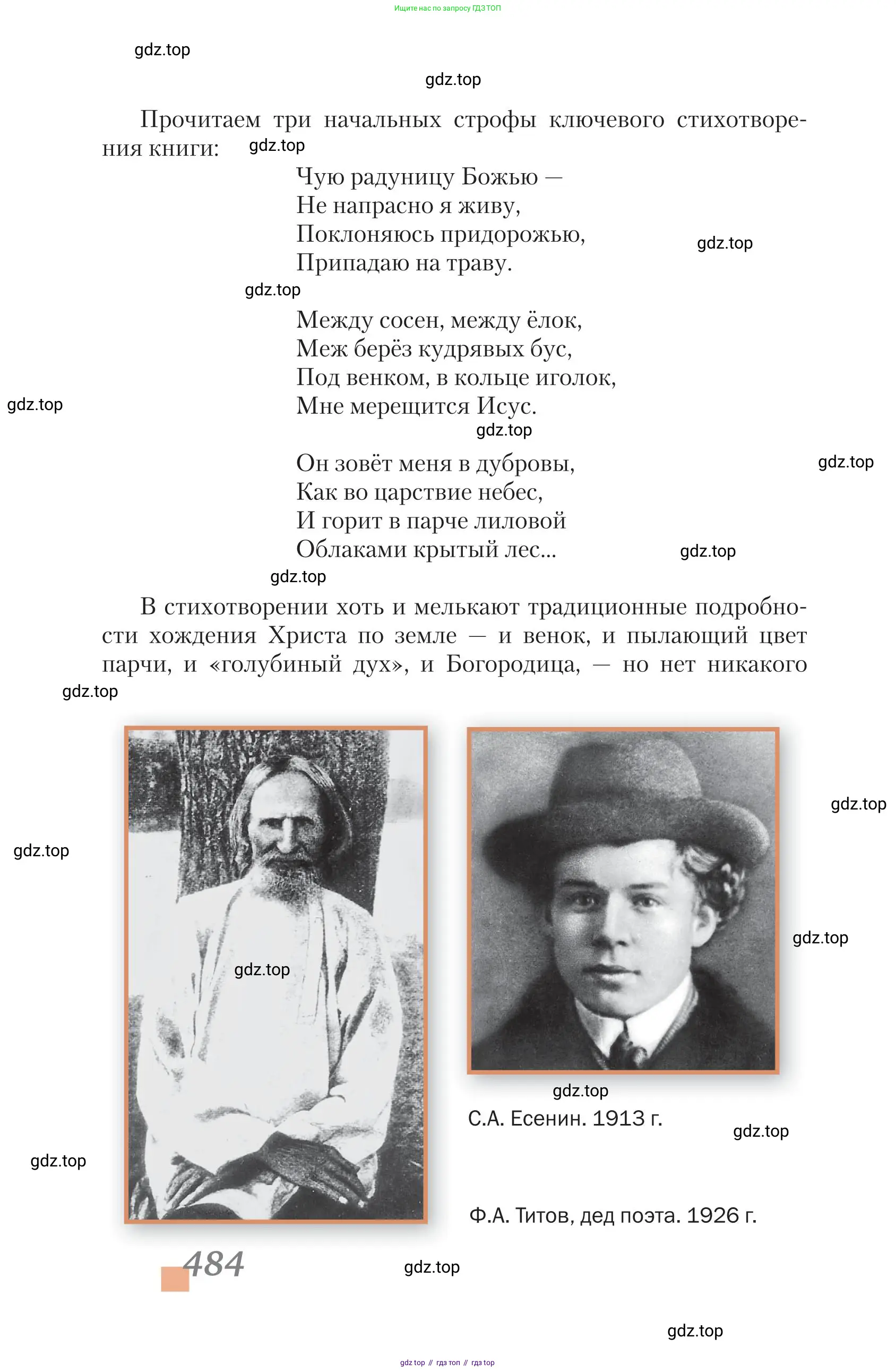 Литература, 11 класс Учебник, авторы: Зинин Сергей Александрович, Чалмаев Виктор Андреевич, издательство Русское слово, Москва, 2019, оранжевого цвета, страница 484