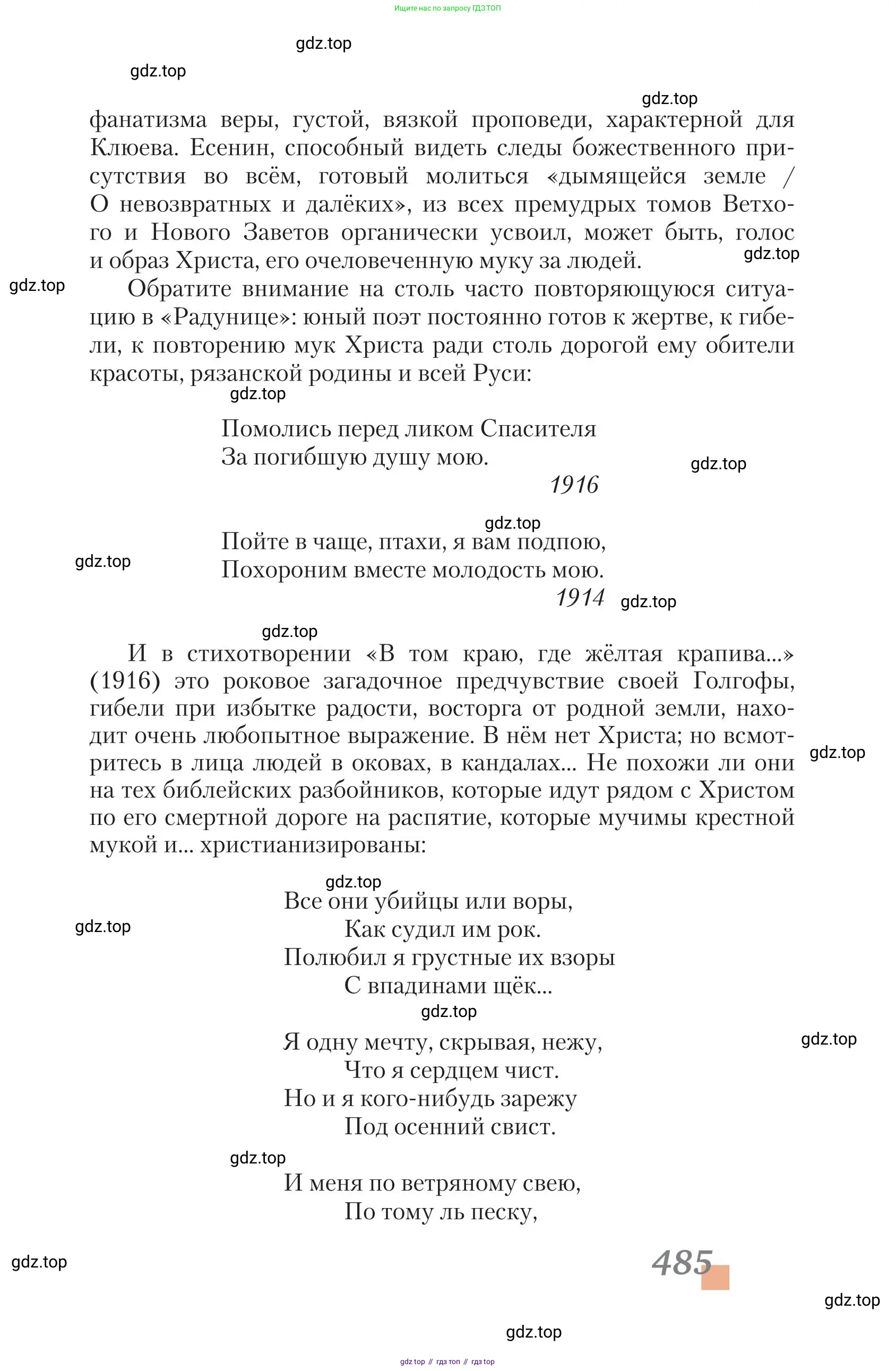 Литература, 11 класс Учебник, авторы: Зинин Сергей Александрович, Чалмаев Виктор Андреевич, издательство Русское слово, Москва, 2019, оранжевого цвета, Часть 2, страница 485