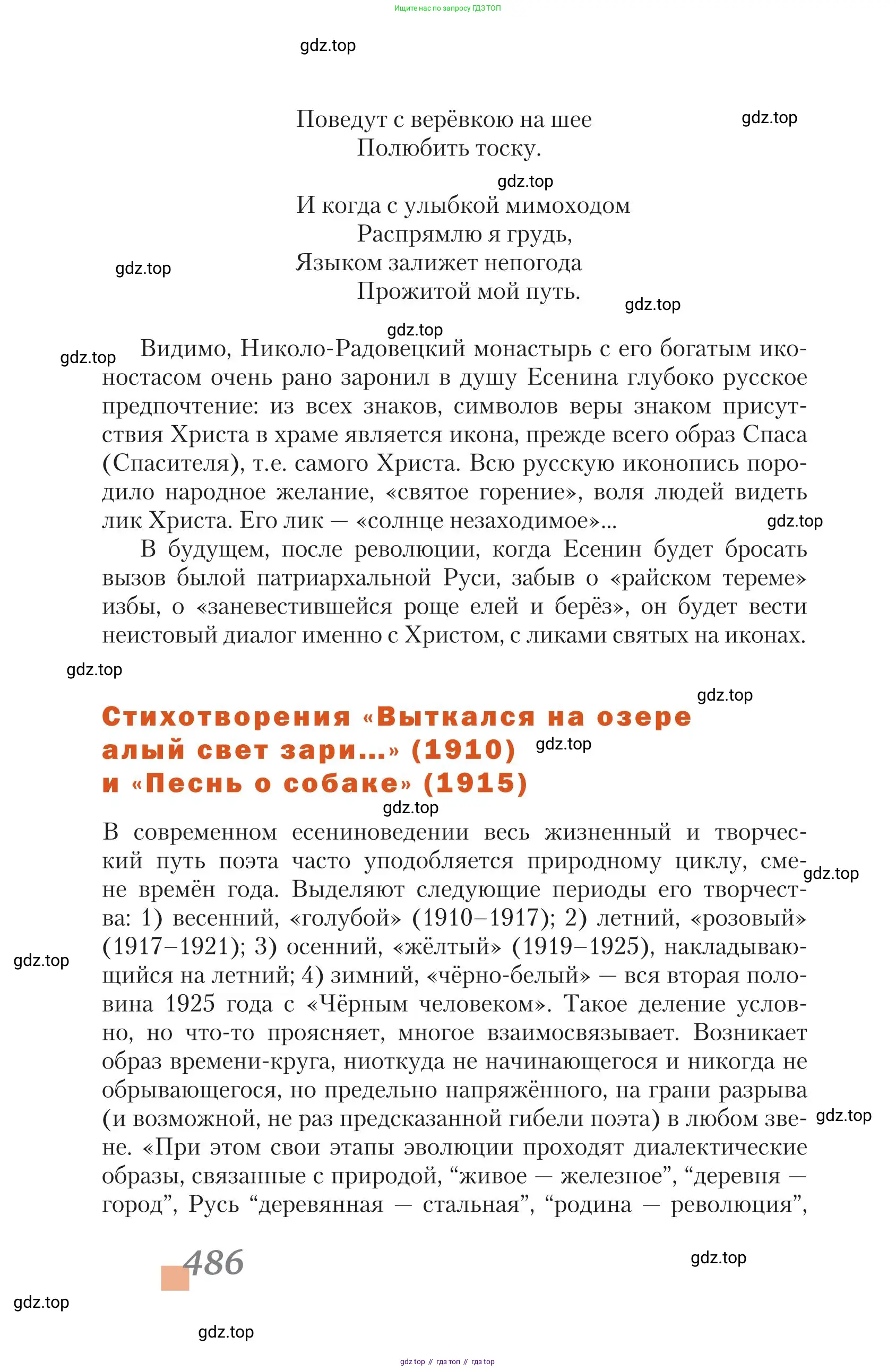 Литература, 11 класс Учебник, авторы: Зинин Сергей Александрович, Чалмаев Виктор Андреевич, издательство Русское слово, Москва, 2019, оранжевого цвета, Часть 1, страница 486