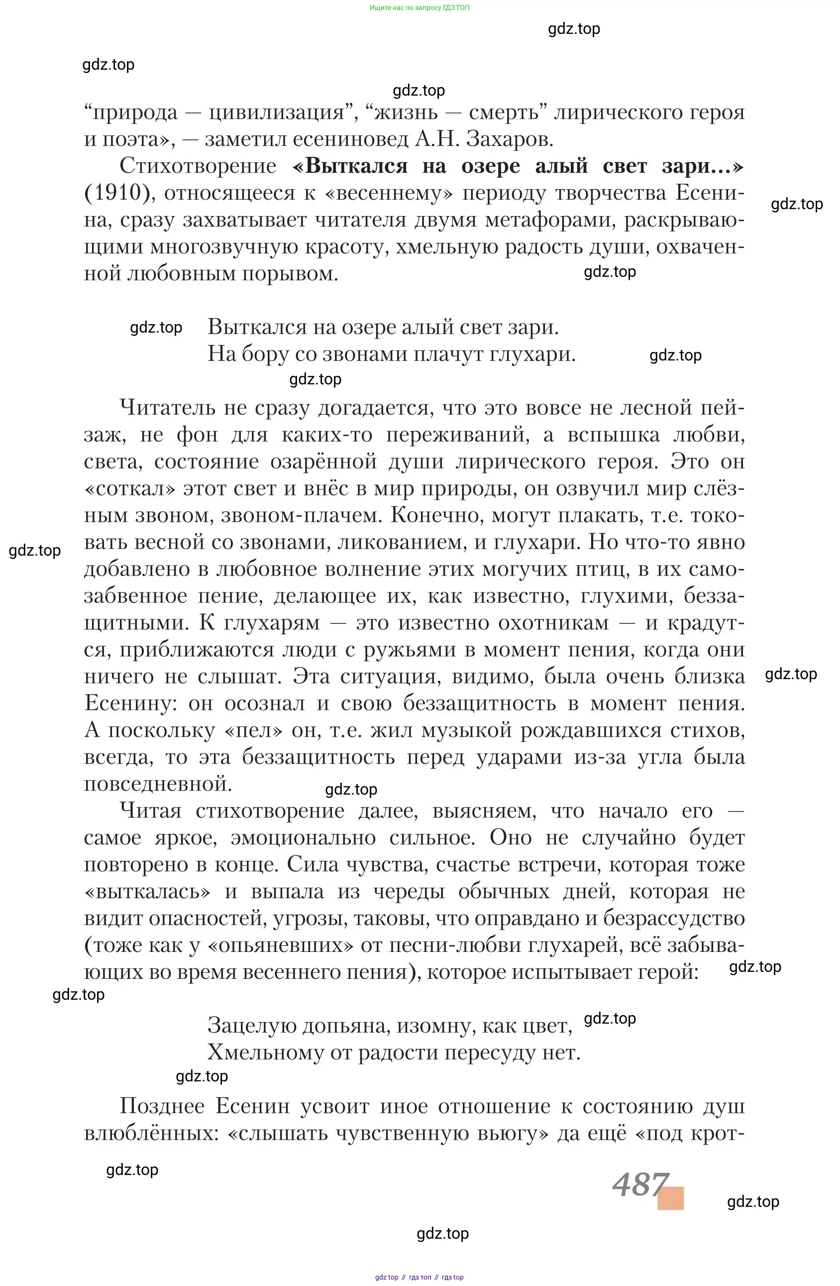 Литература, 11 класс Учебник, авторы: Зинин Сергей Александрович, Чалмаев Виктор Андреевич, издательство Русское слово, Москва, 2019, оранжевого цвета, страница 487