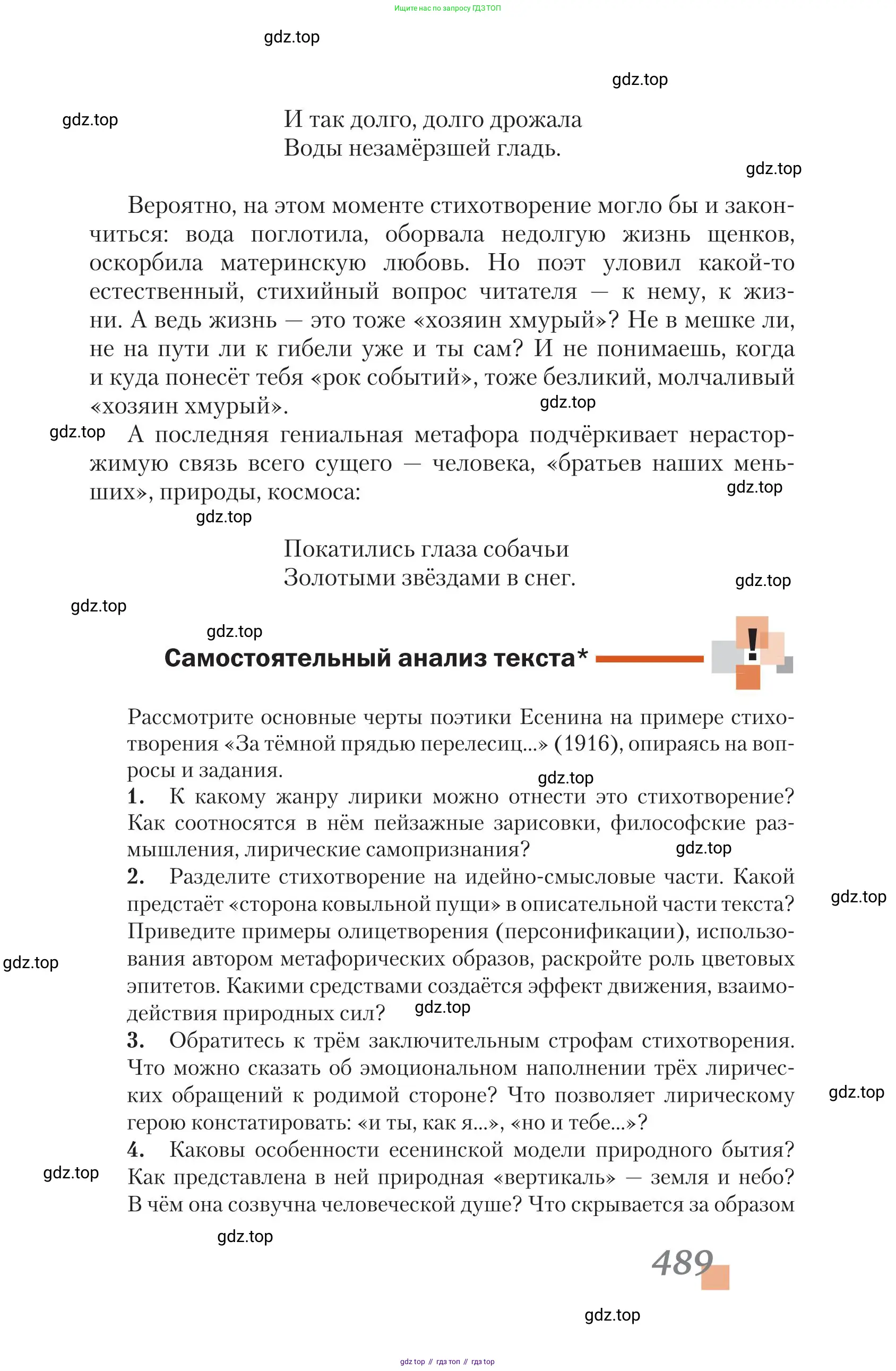 Литература, 11 класс Учебник, авторы: Зинин Сергей Александрович, Чалмаев Виктор Андреевич, издательство Русское слово, Москва, 2019, оранжевого цвета, Часть 1, страница 489