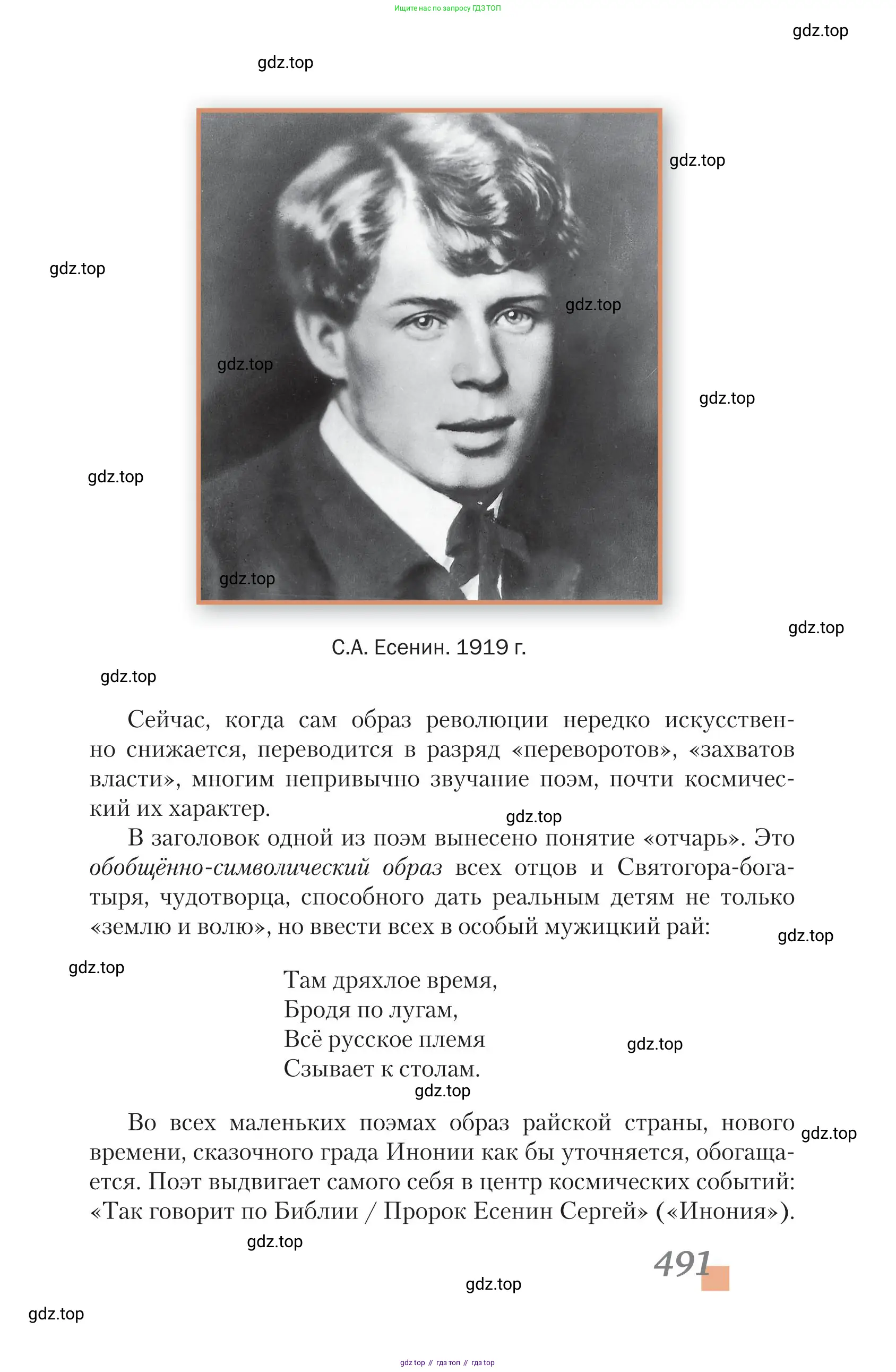 Литература, 11 класс Учебник, авторы: Зинин Сергей Александрович, Чалмаев Виктор Андреевич, издательство Русское слово, Москва, 2019, оранжевого цвета, Часть 2, страница 491